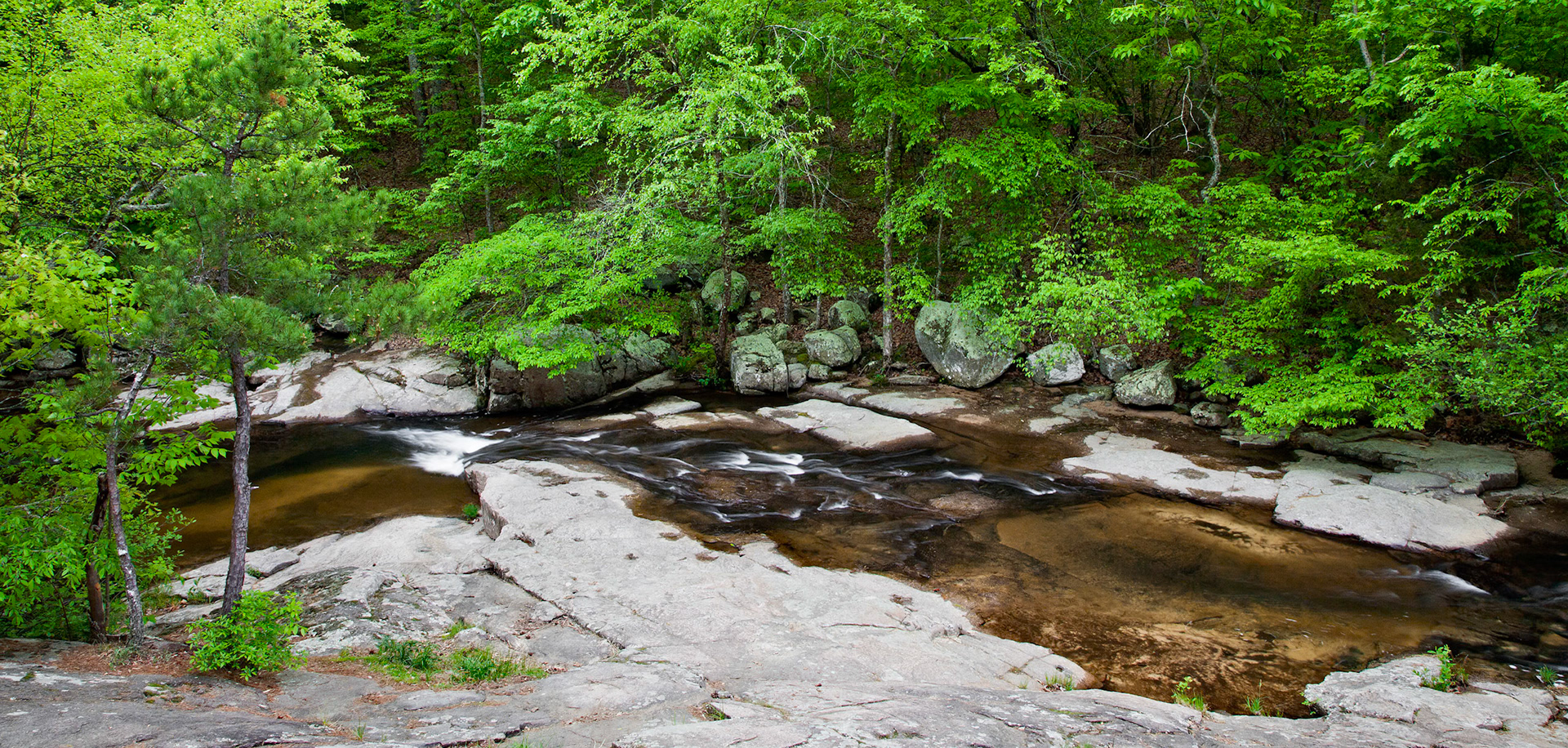 Pickle Creek, Hawn SP #2 : Missouri, April 2010