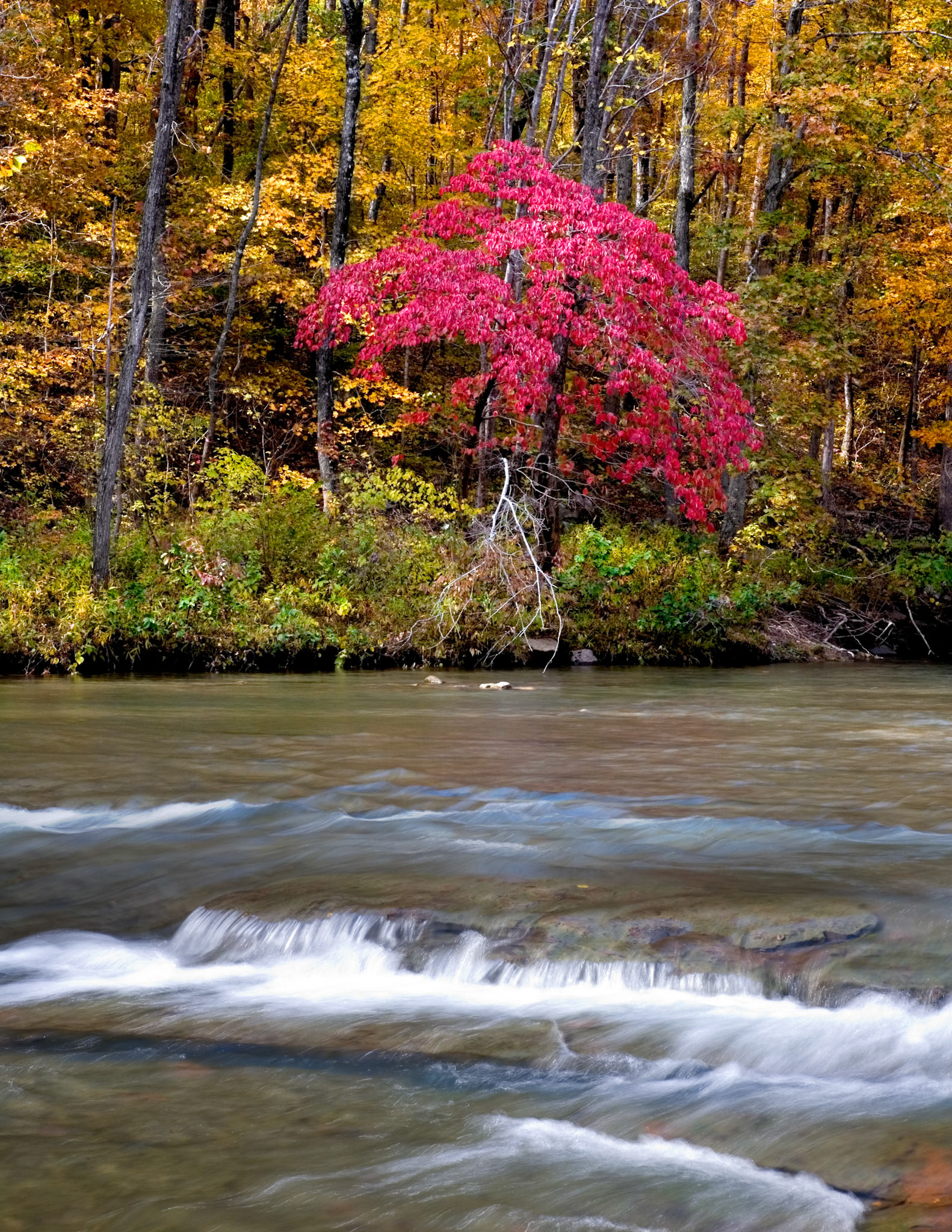Richland Creek Wilderness #15 : Arkansas, October 2006