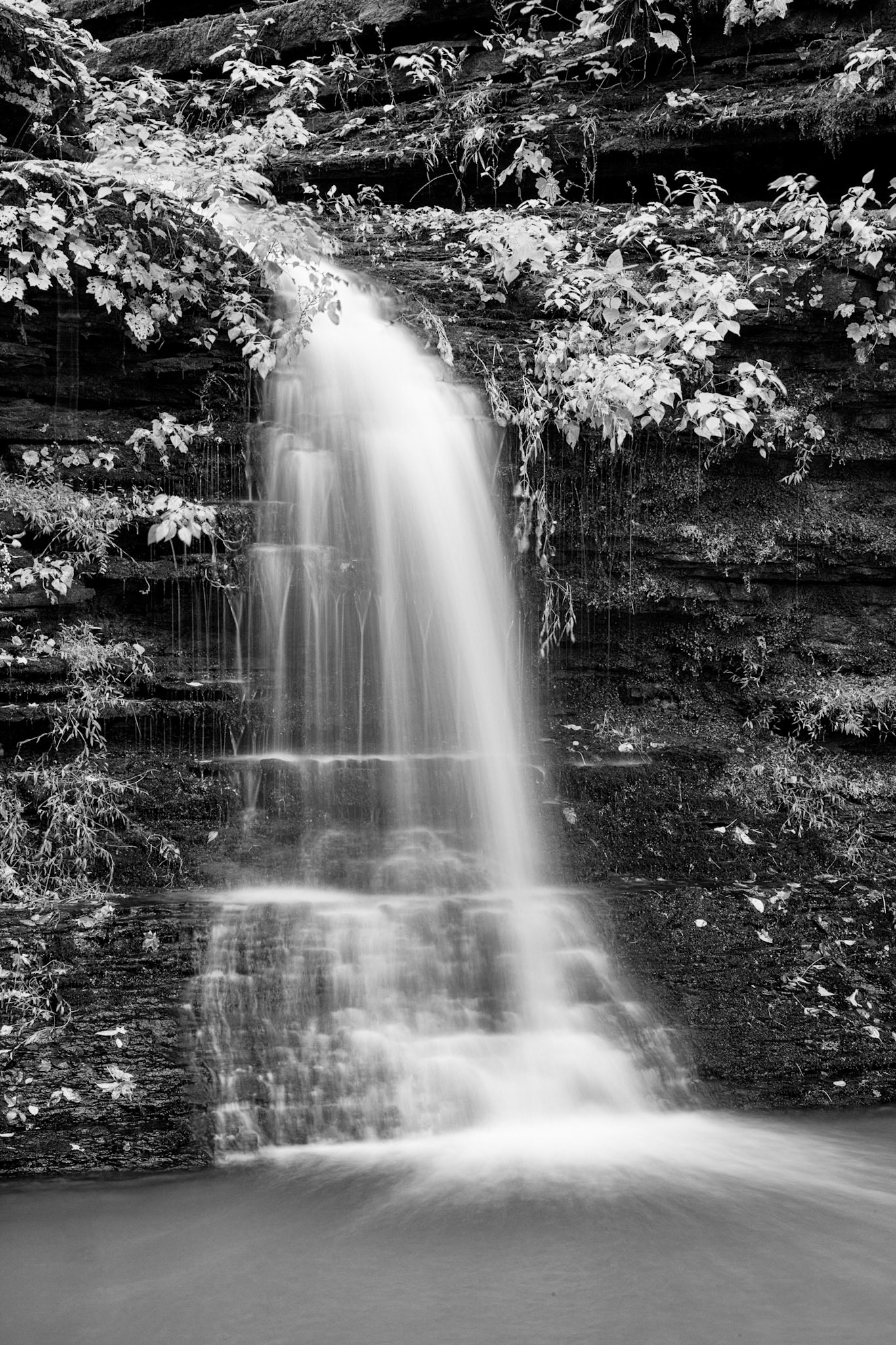 Ozark National Forest #7 : Arkansas, October 2012