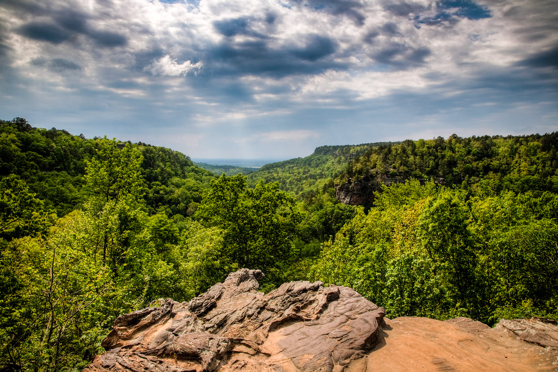 Petit Jean #33 : Arkansas, April 2009