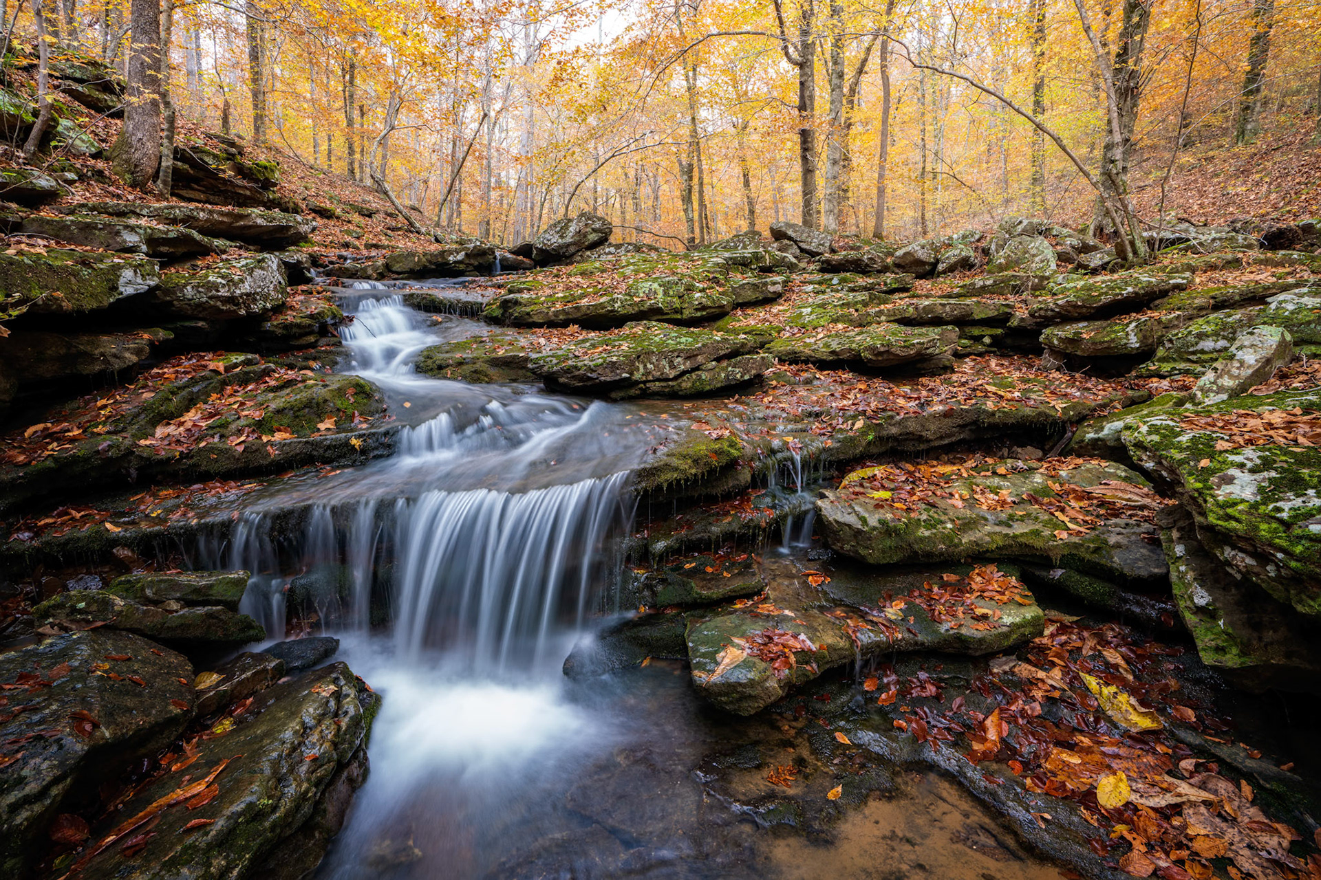 Buffalo National River Area #21 : Arkansas, November 2019