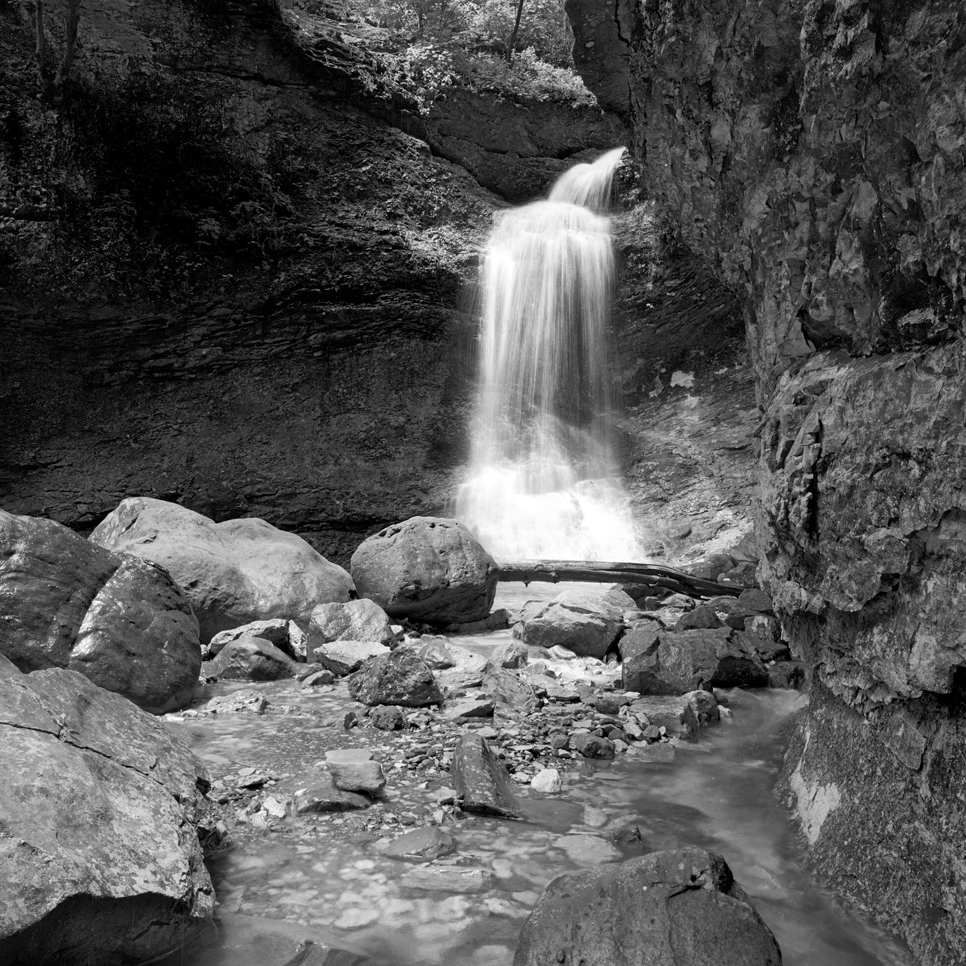 Lost Valley #11 : Arkansas, June 2000