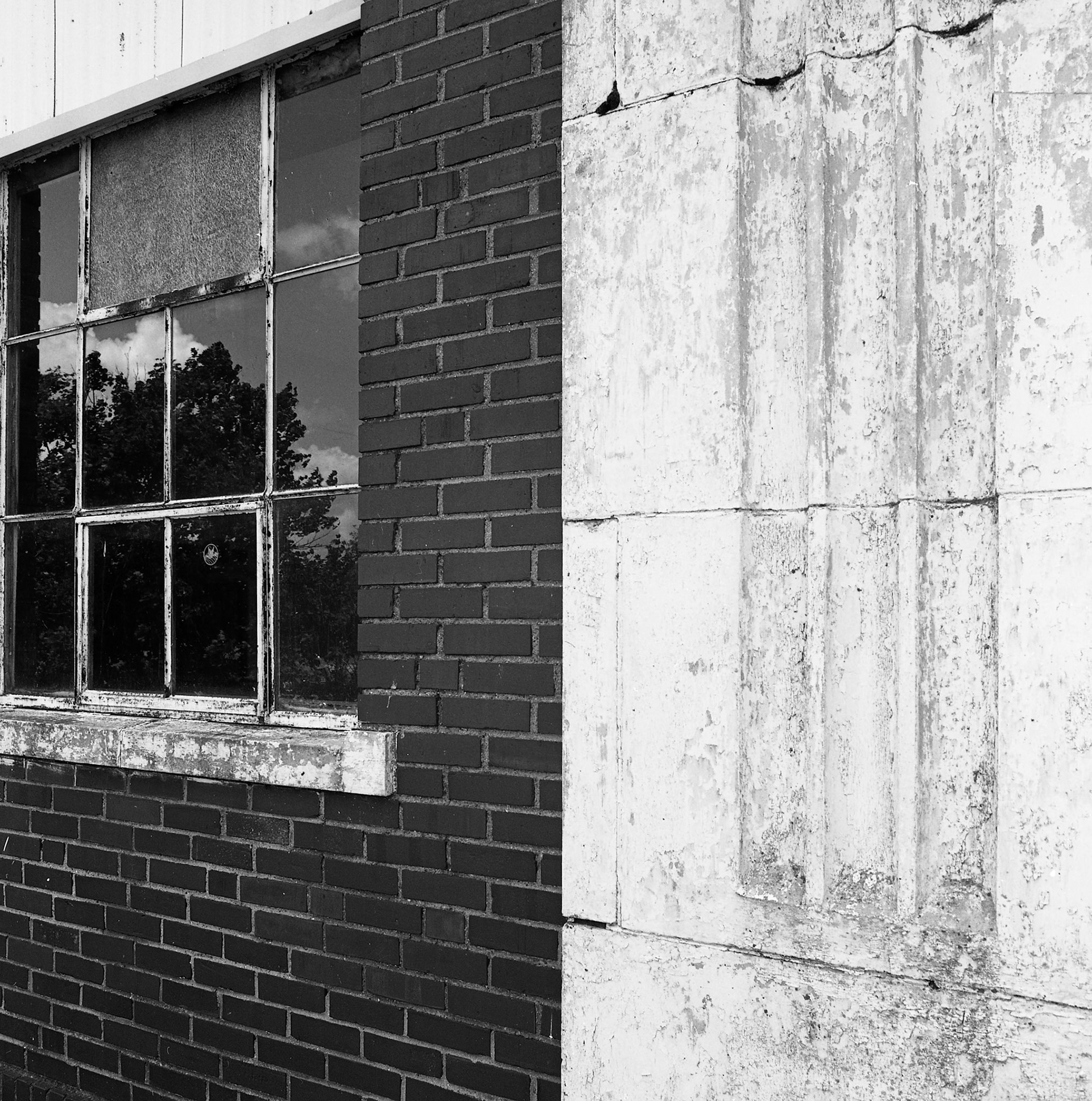 Elkland #5 : Missouri, September 1993