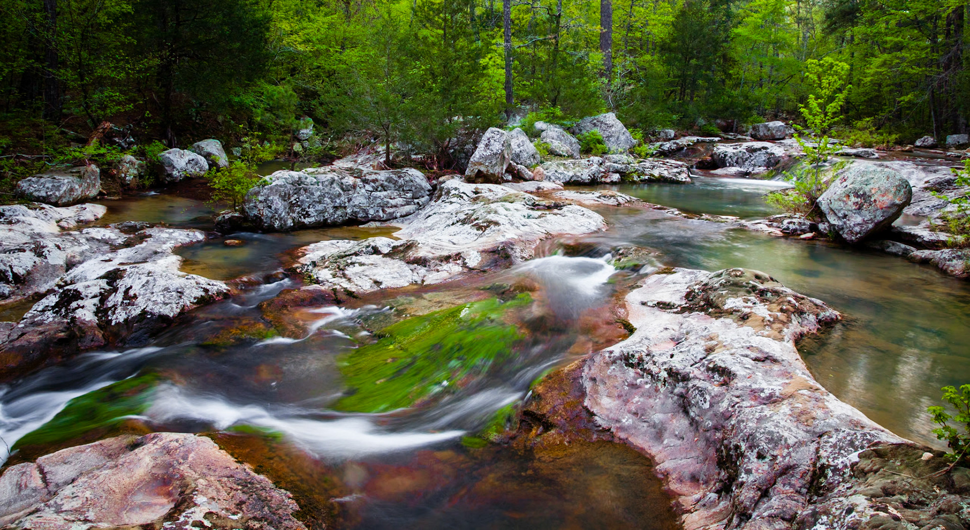 Rock Creek, Poteau Mt #2 : Arkansas, March 2012
