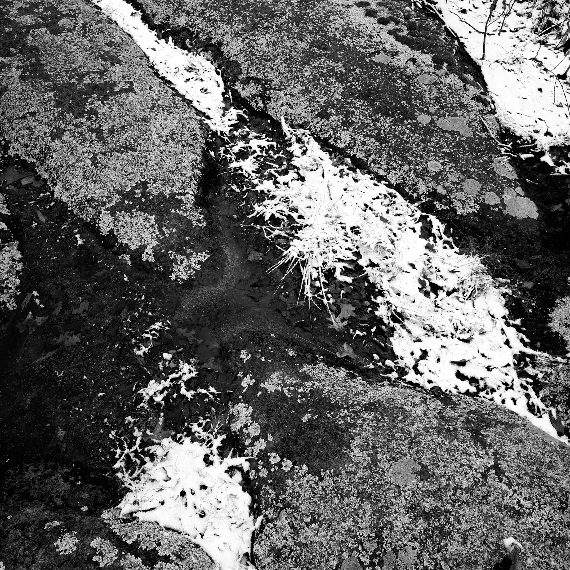 Elephant Rocks #44 : Missouri, January 2003