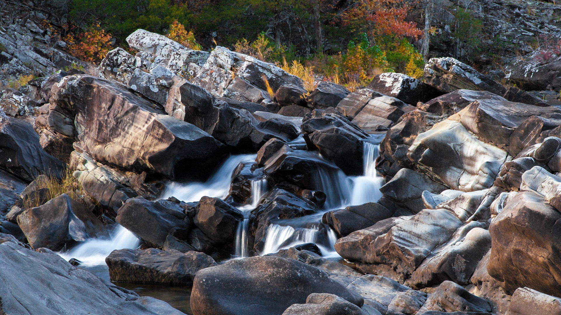 Cossatot River Natural Area #13 : Arkansas, November 2012