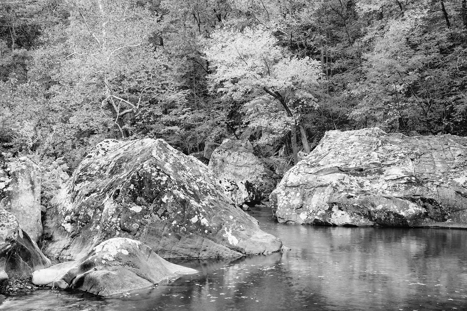 Richland Creek #22 : Arkansas, October 2006