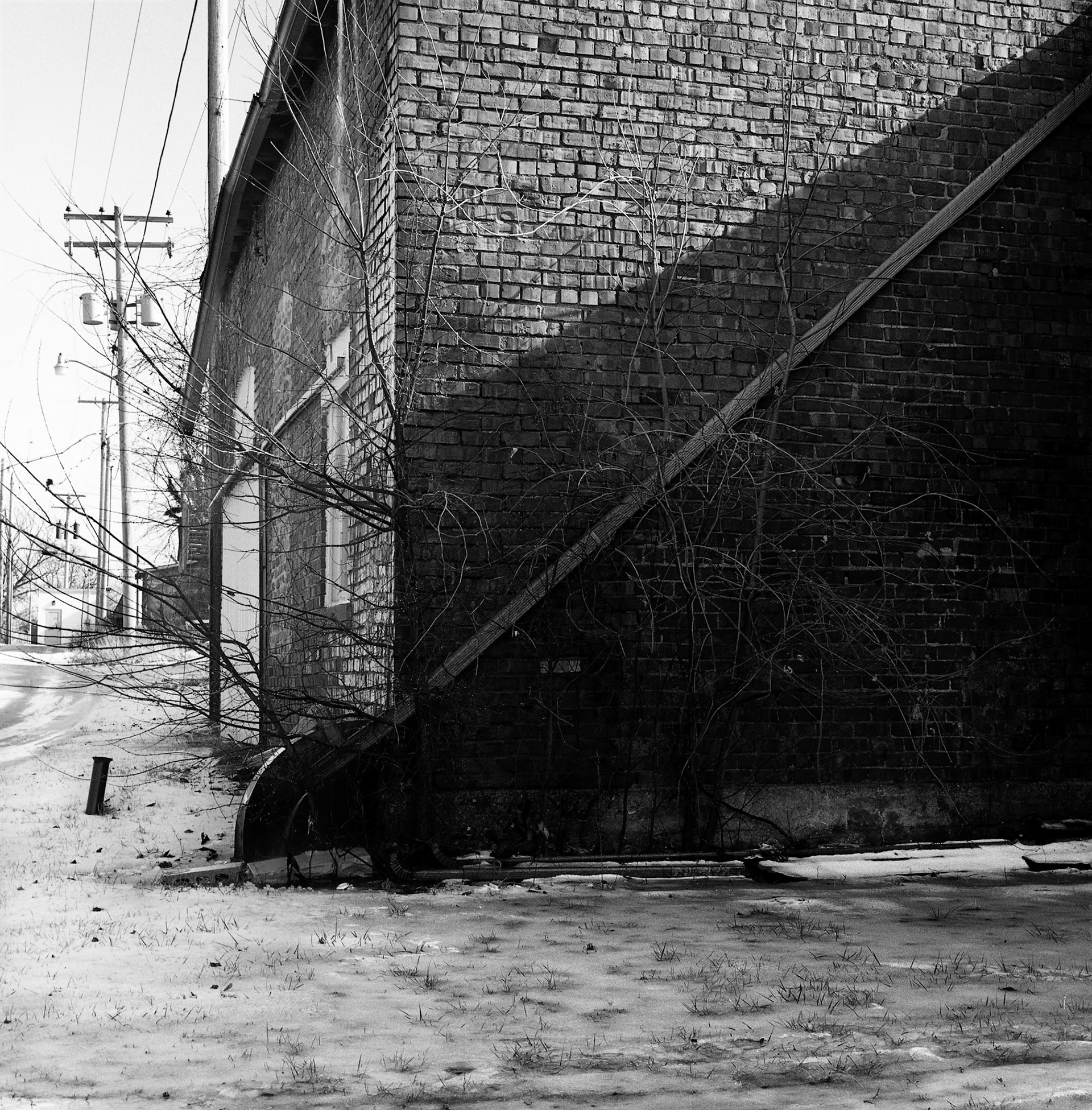 Everton #8 : Missouri, January 1994