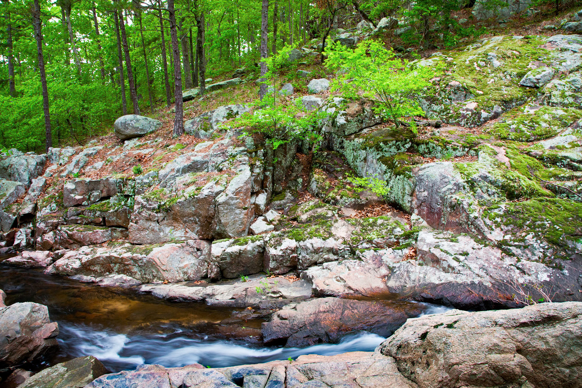 Pickle Creek, Hawn SP #3 : Missouri, April 2010
