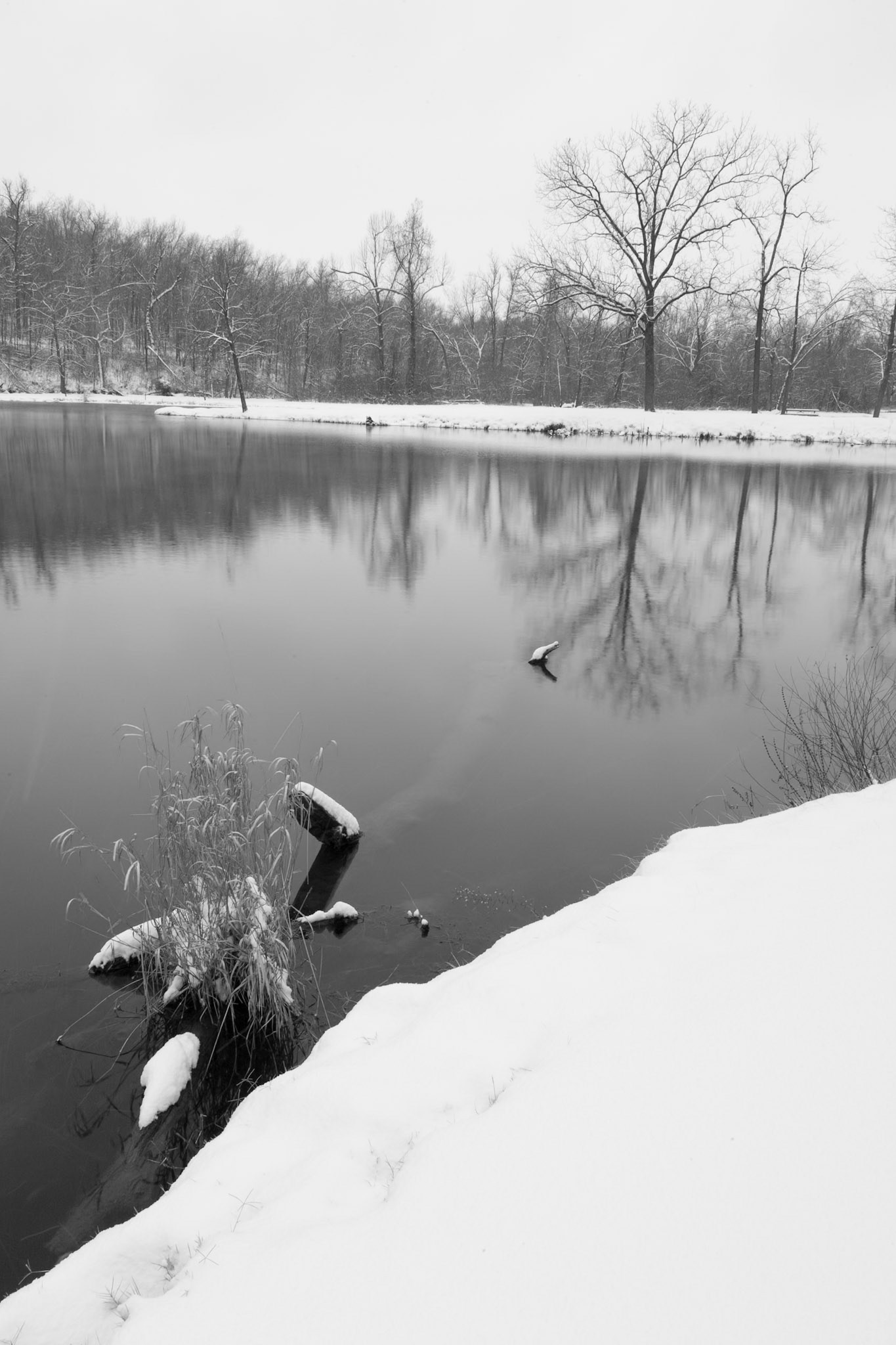 Ritter Springs #6 : Missouri, January 2010