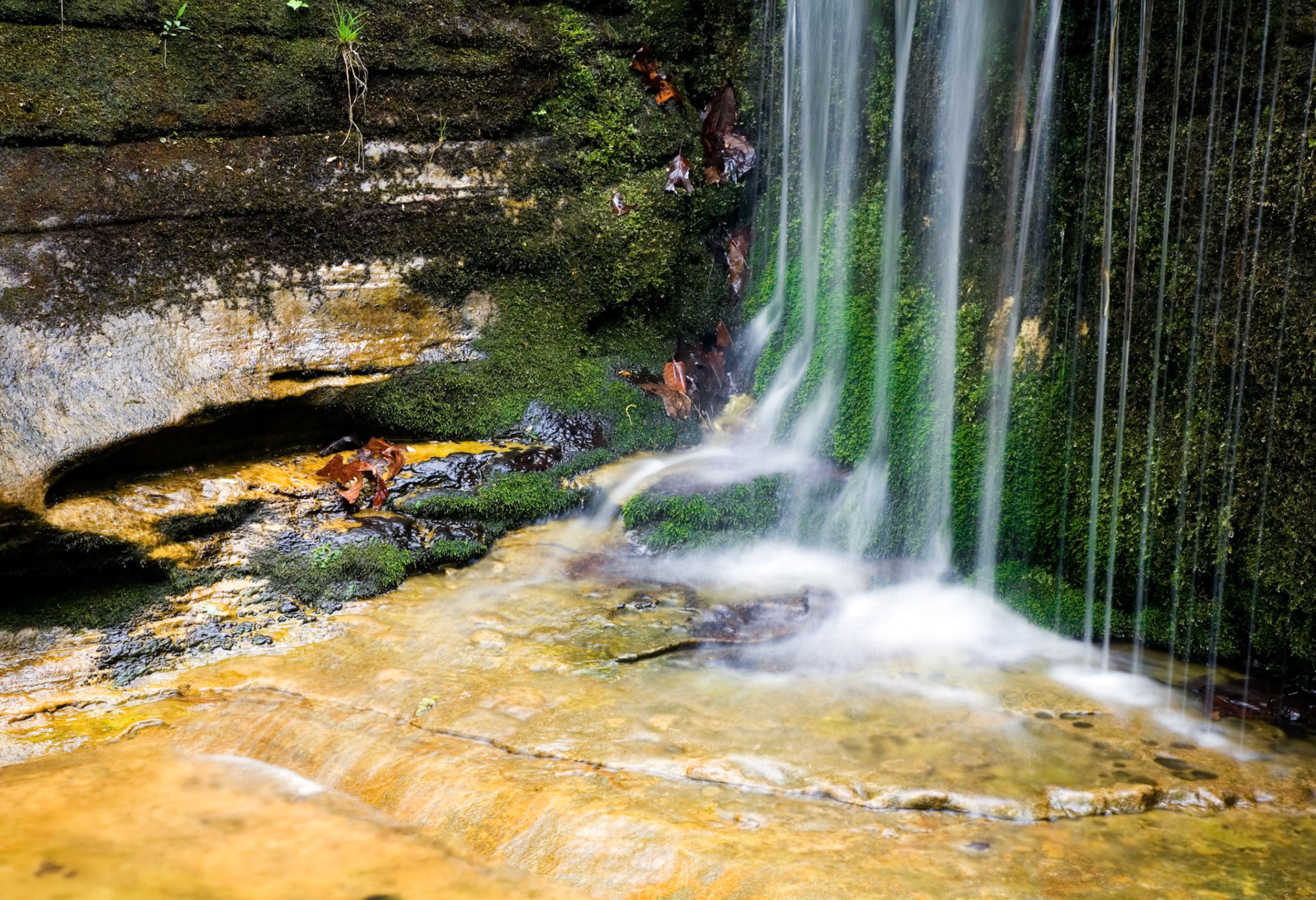 Indian Creek #10 : Arkansas, April 2006