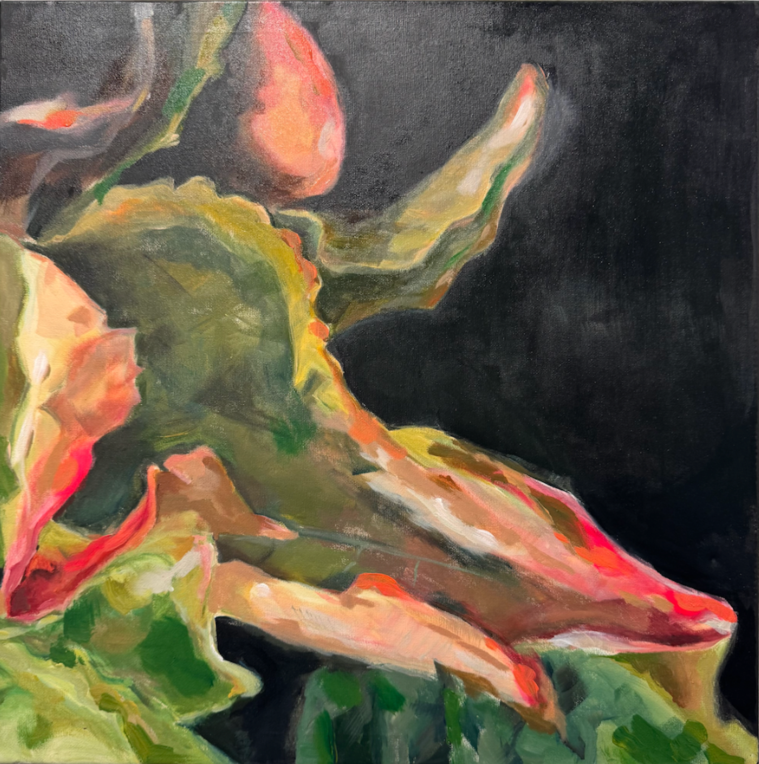 acrylic on canvas 50 x 50