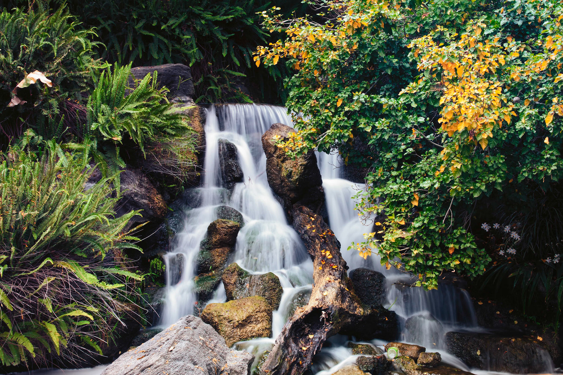 Waterfall and Log 2