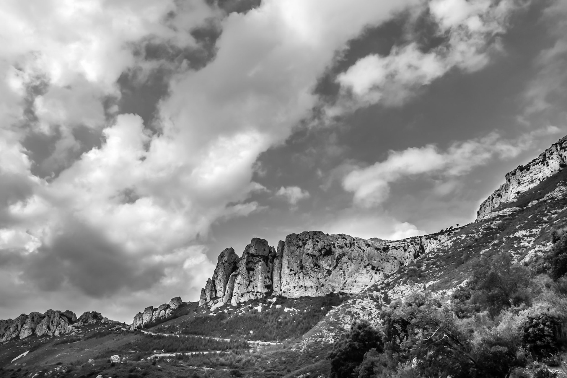 French Hills BW