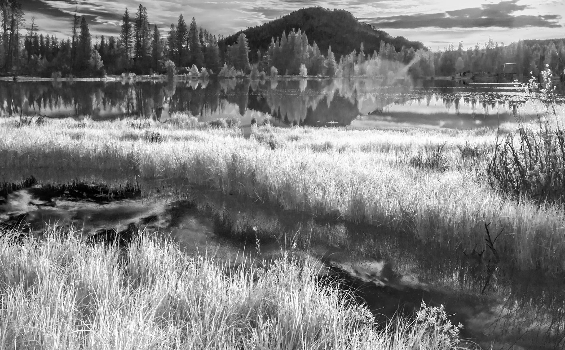 Rocky Mountain Reflection