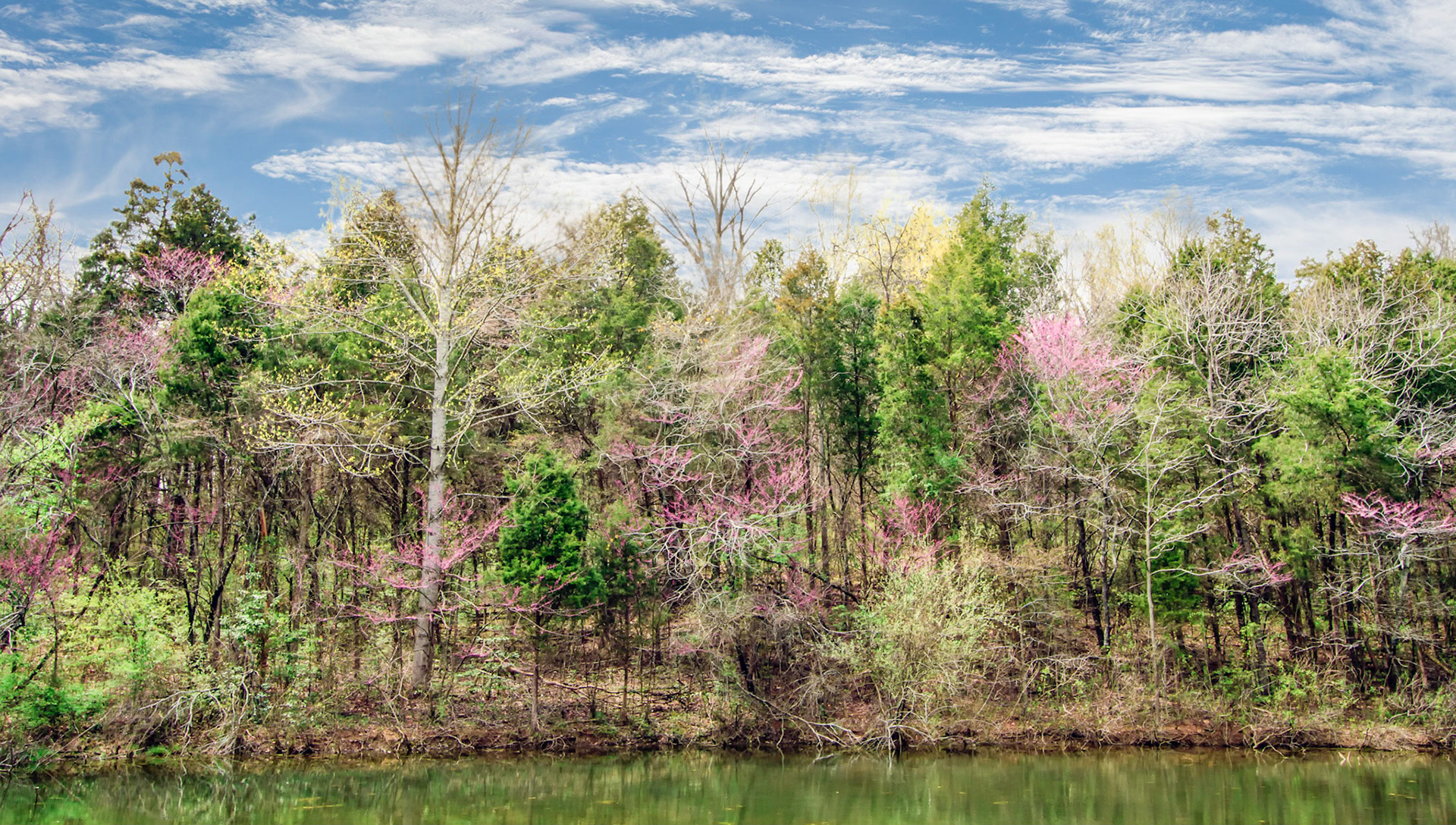 Lakeside View