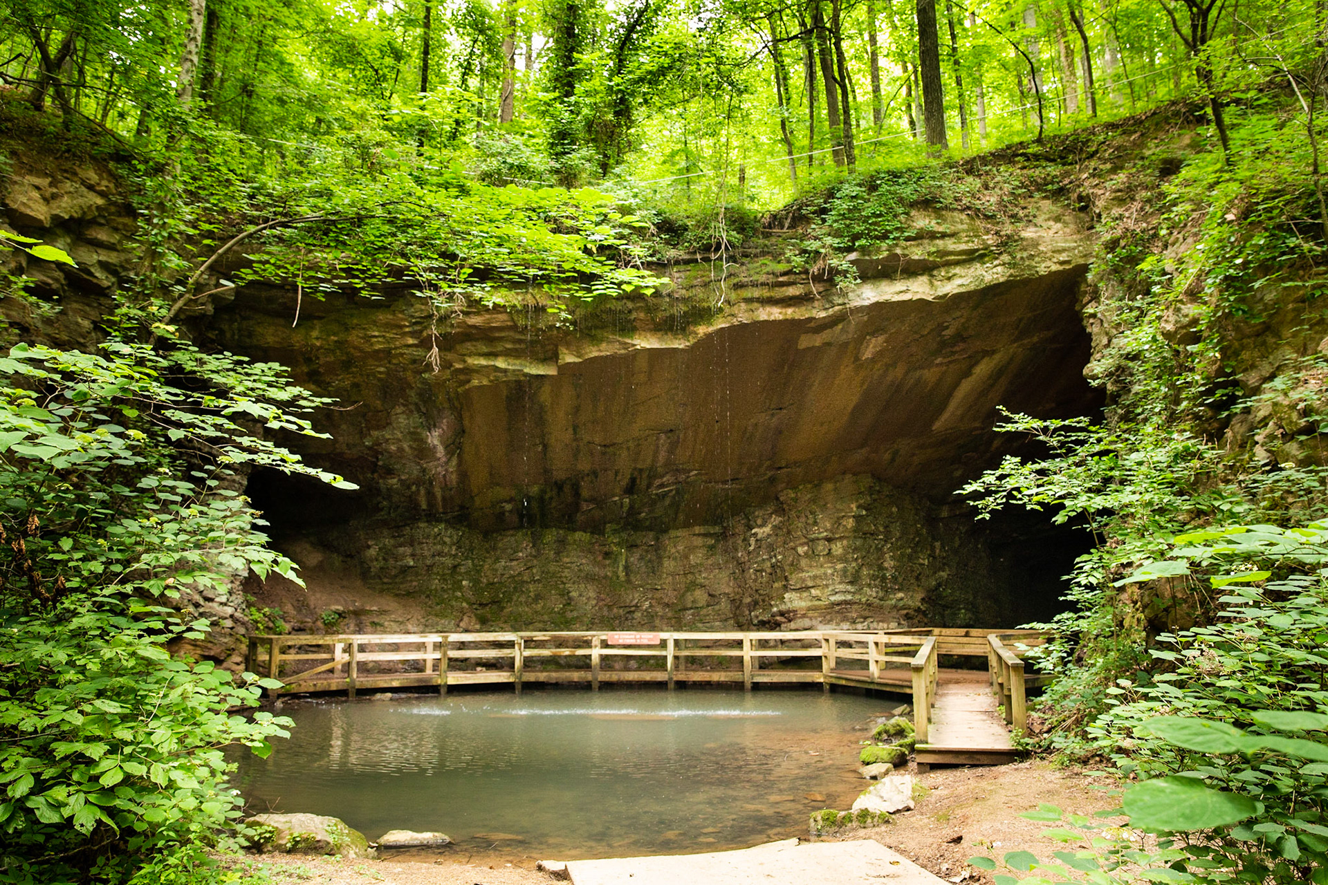 Cloudland Canyon Fall