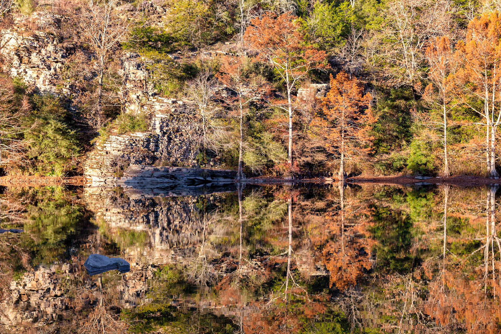 Autumn Reflection