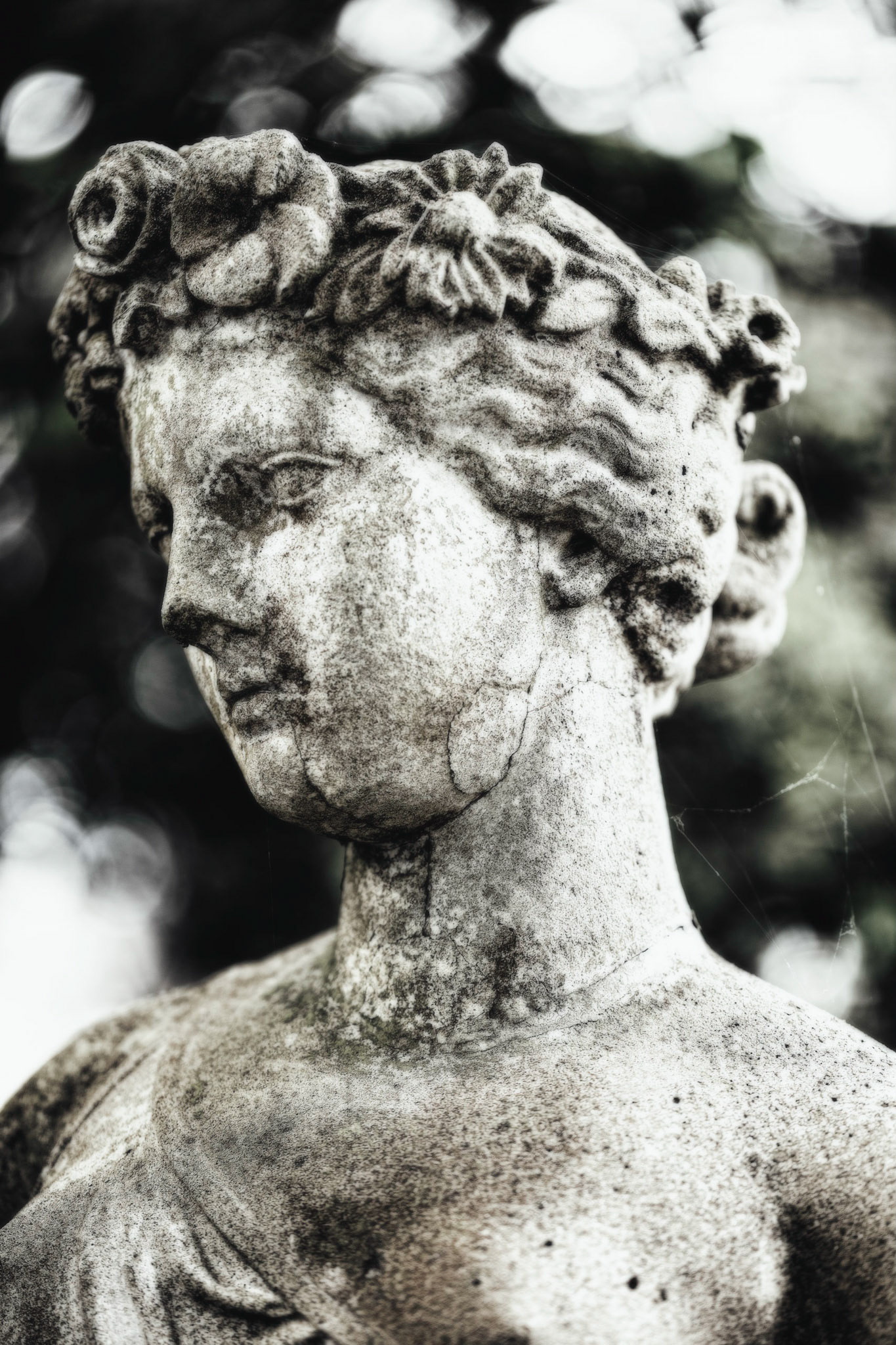 Midnight in the Garden