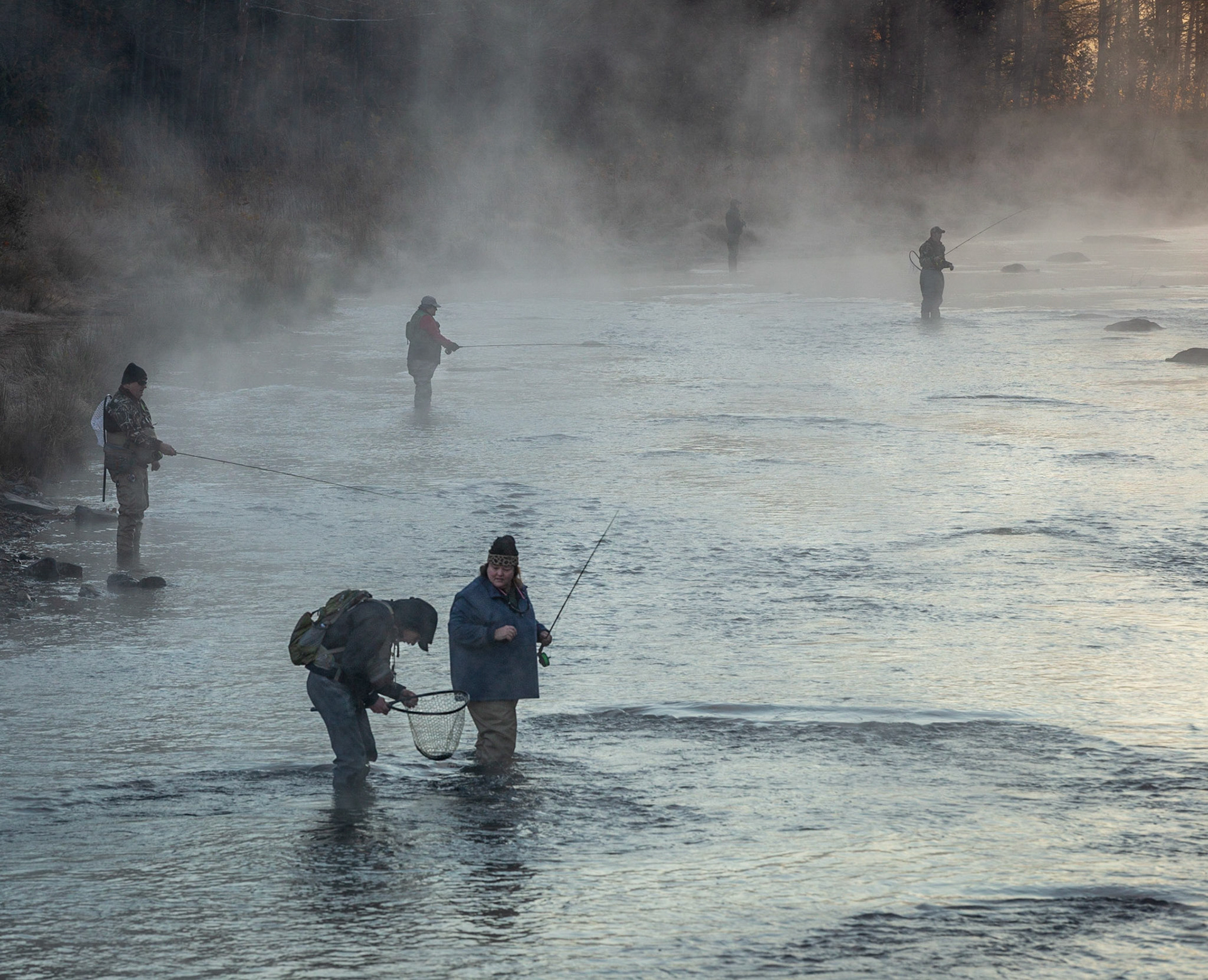 Catch and Release