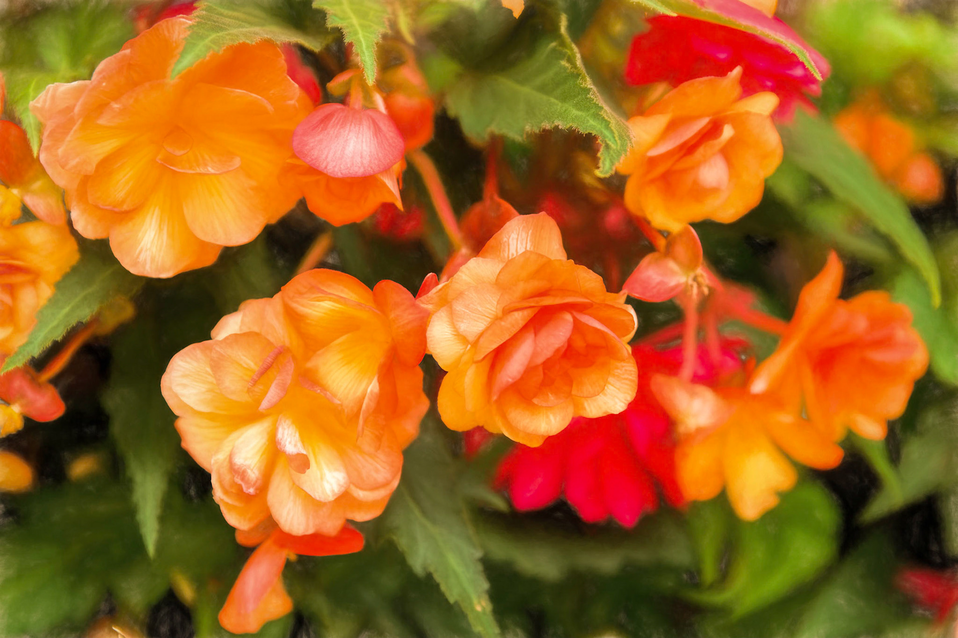 St. Margaret's Flowers v2