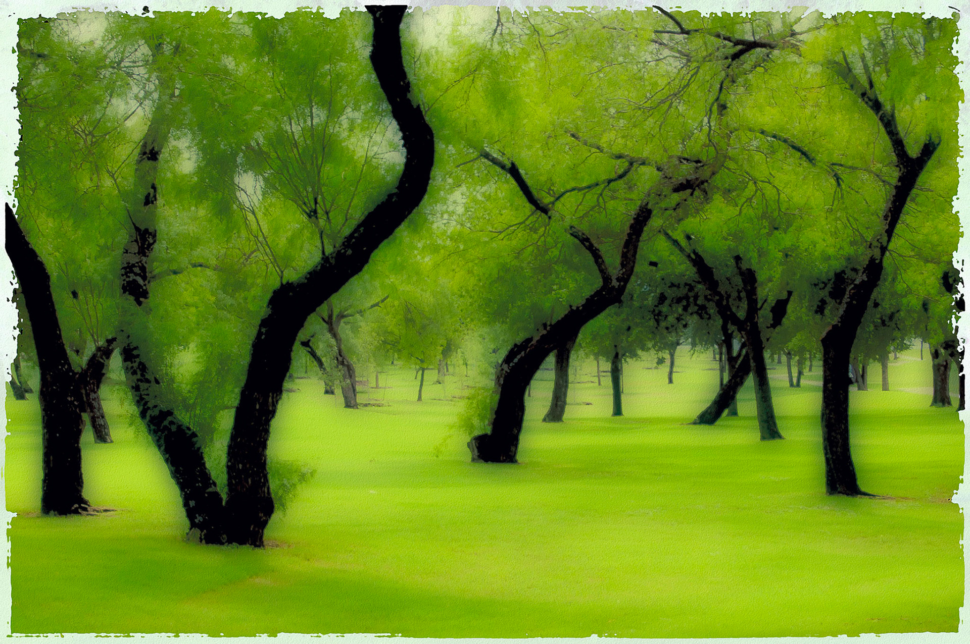 Golf Course Green