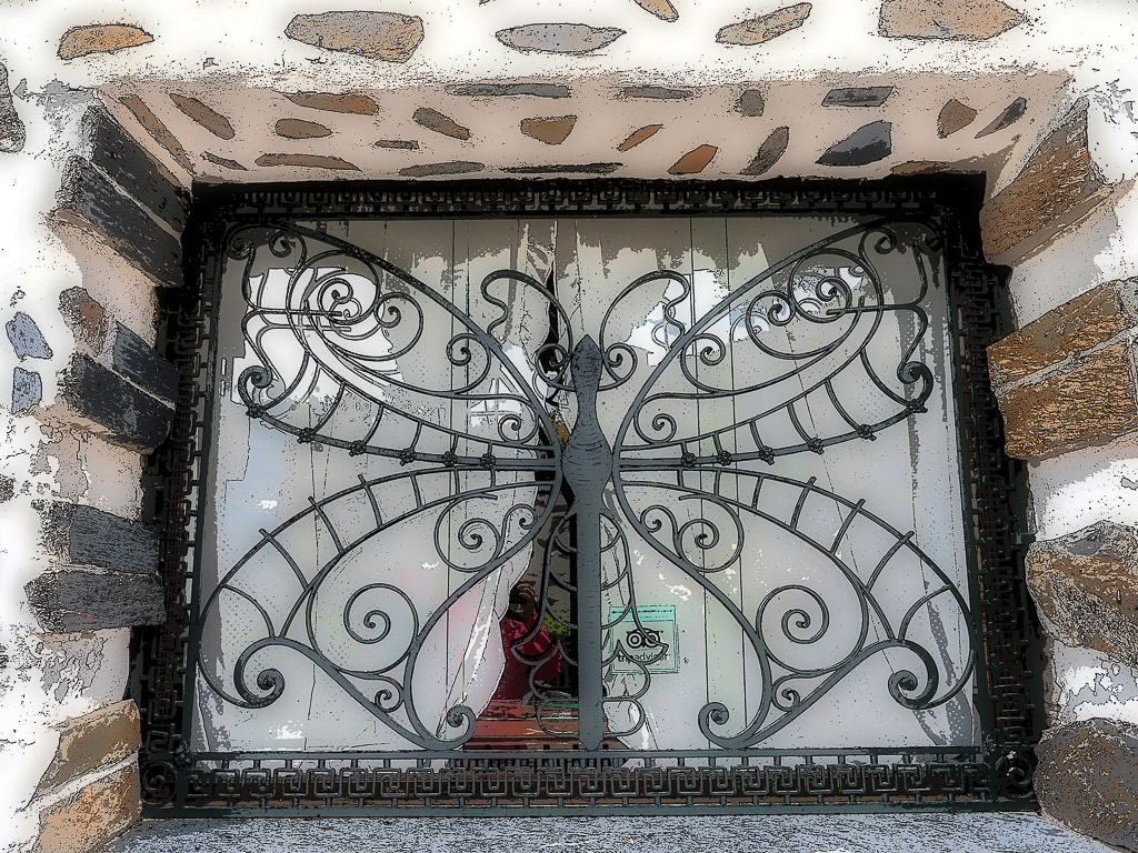 Dragonfly Window at Winery
