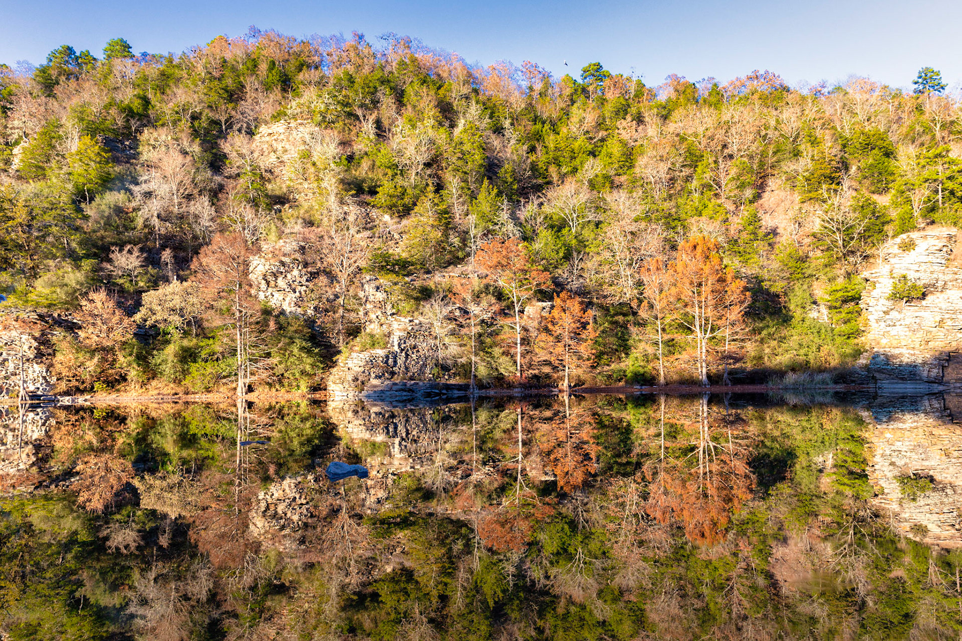 Beaver's Bend Beauty
