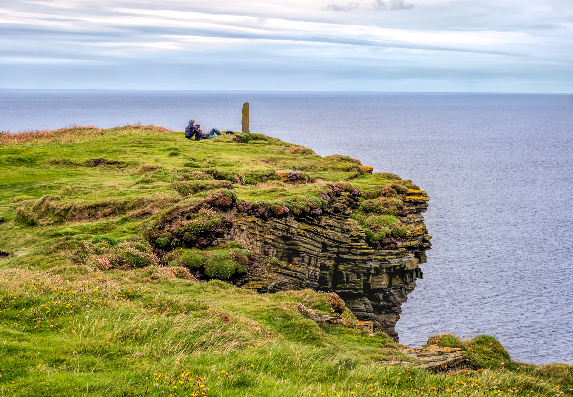 Marwick Contemplation