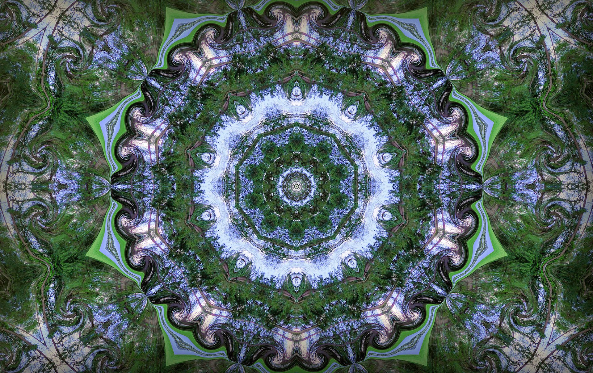 Texas Trees Kaleidescope