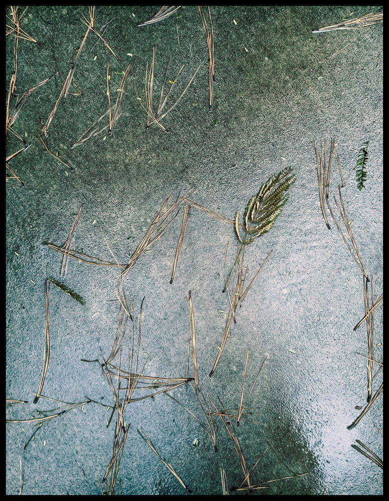 Sidewalk Abstract 3