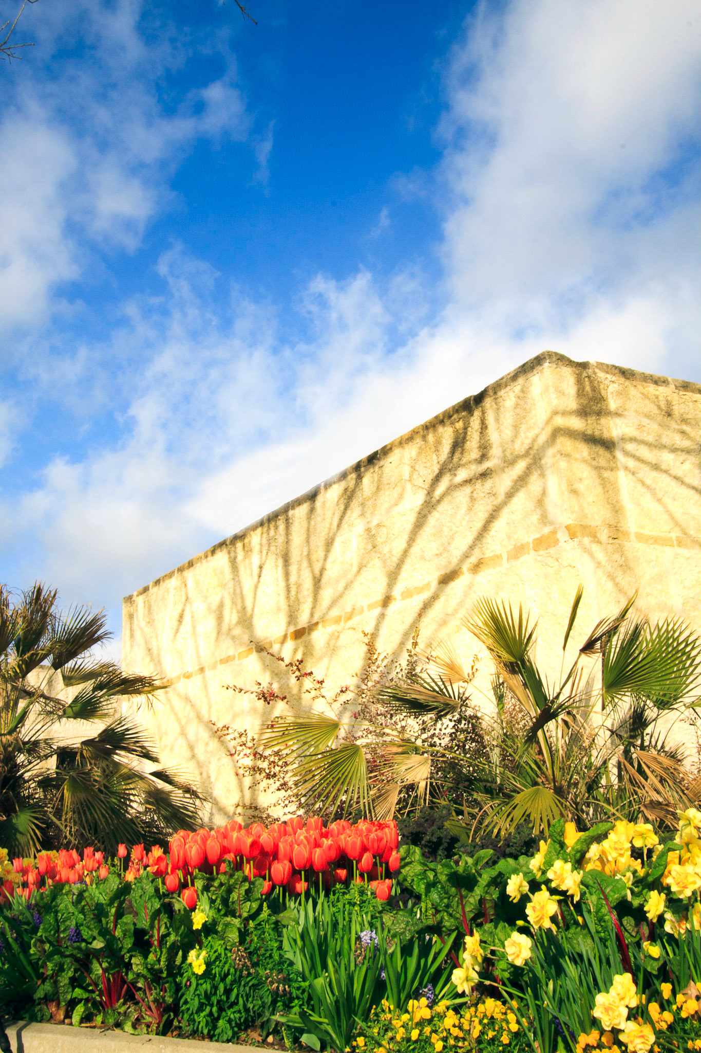 Spring at the Arboretum