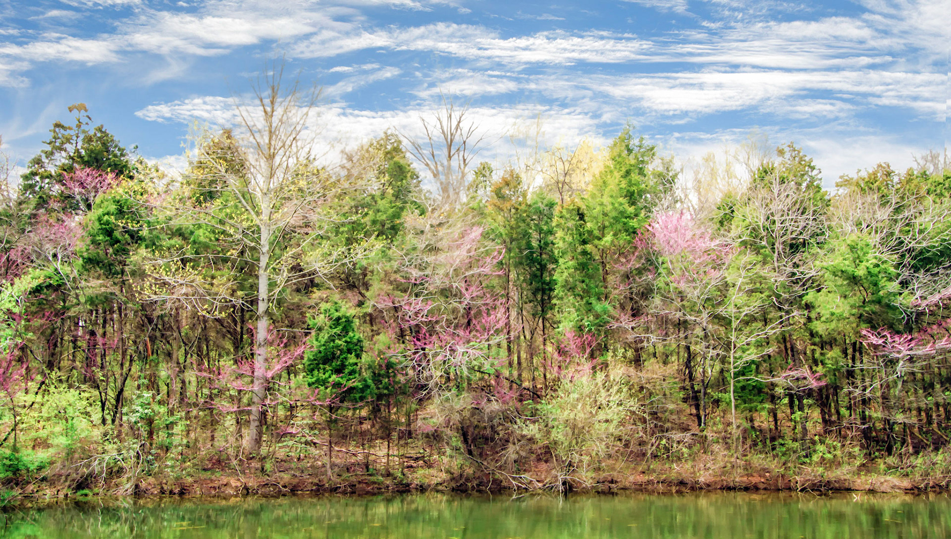 Lakeside View