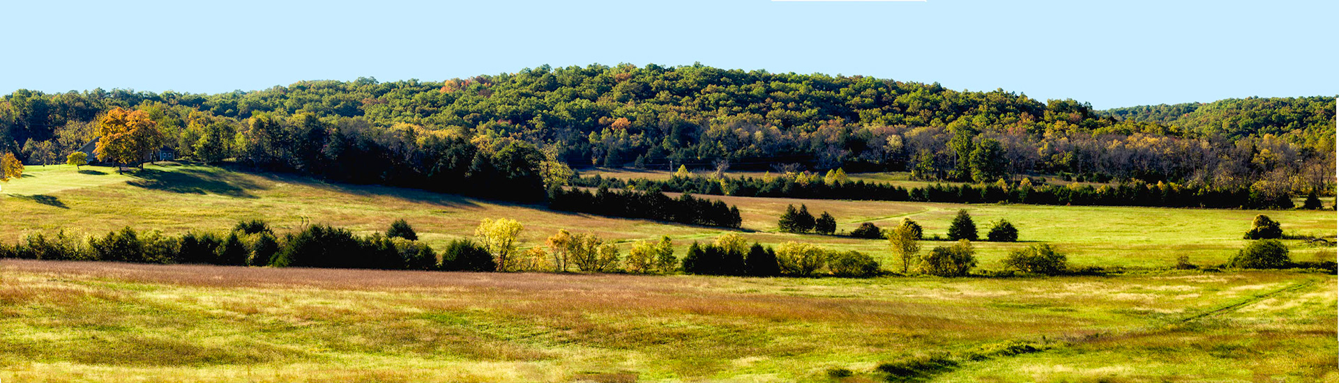 Ha Ha Tonka Panorama