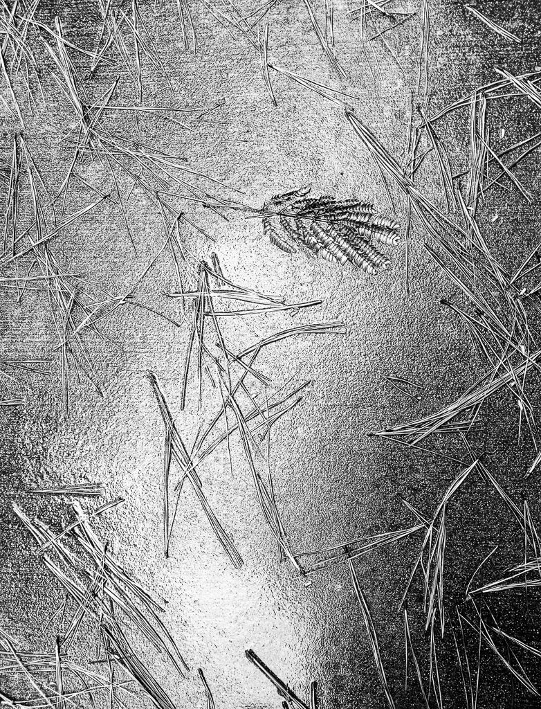 Sidewalk Abstract 2