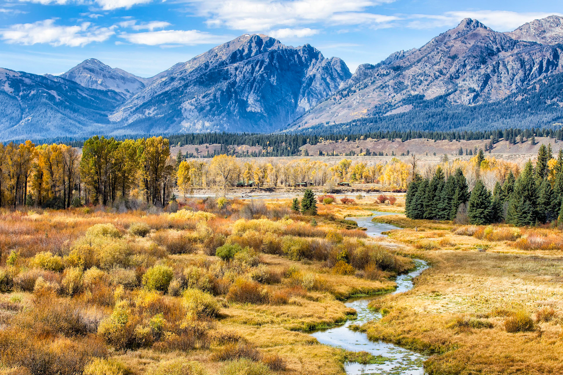 Autumn's Glory