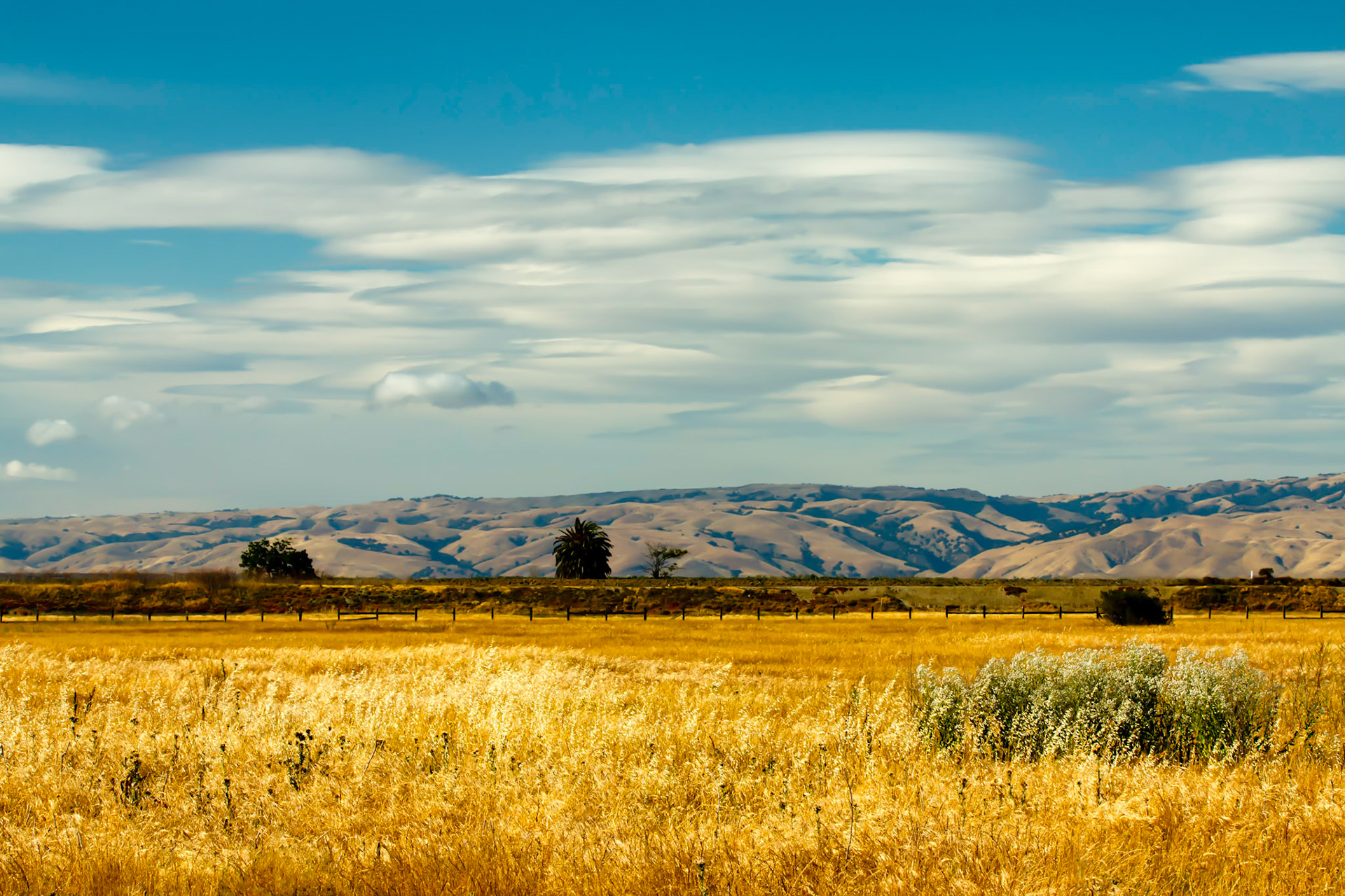 Baylands Nature Preserve