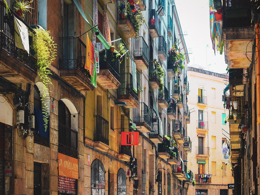 Fern on Spanish Street