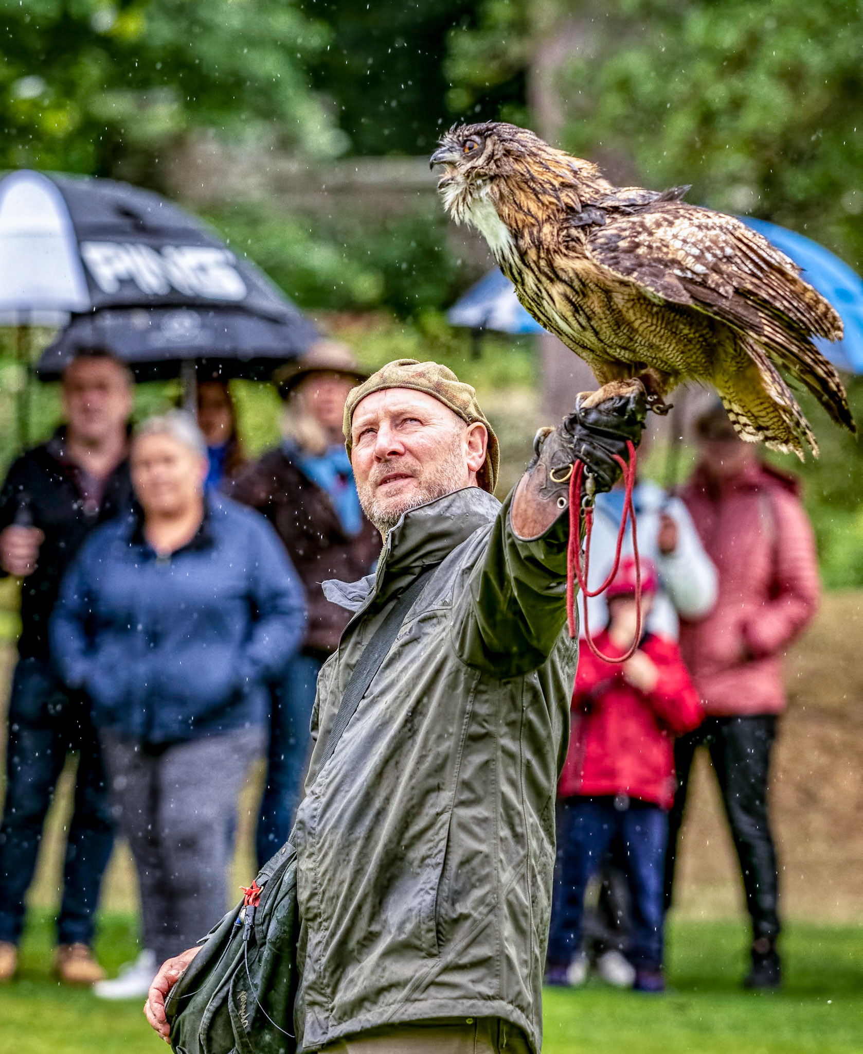 The Falconer - Final