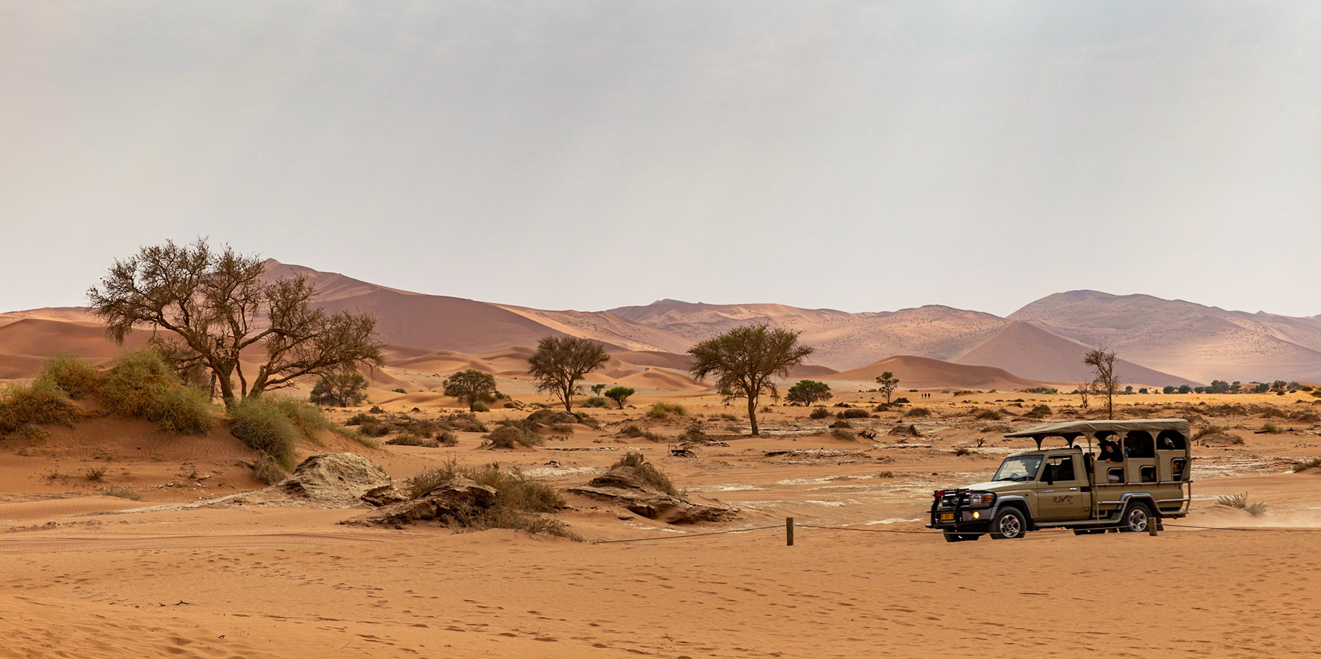 Don't Miss the Ride Back