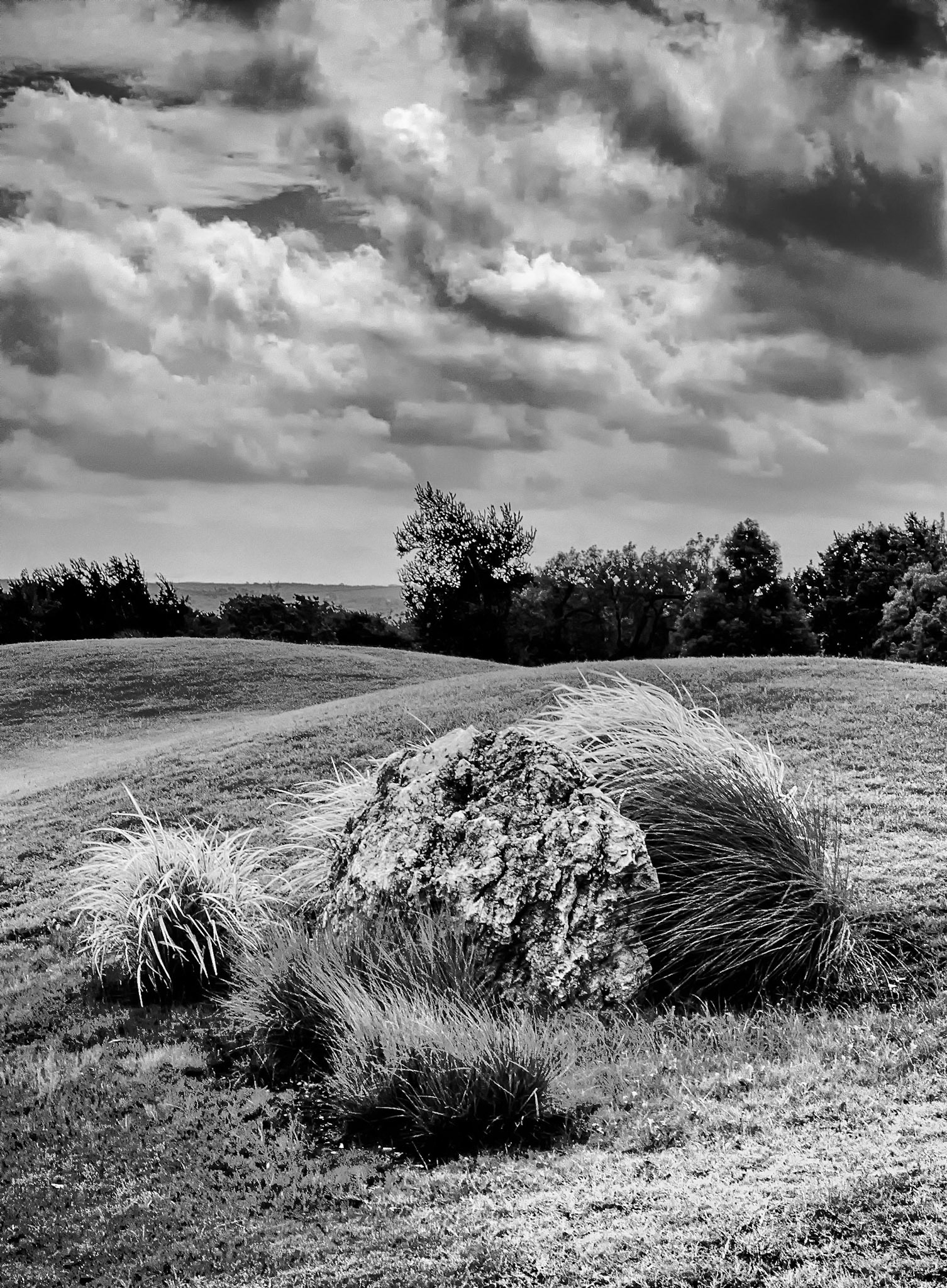 The Rock