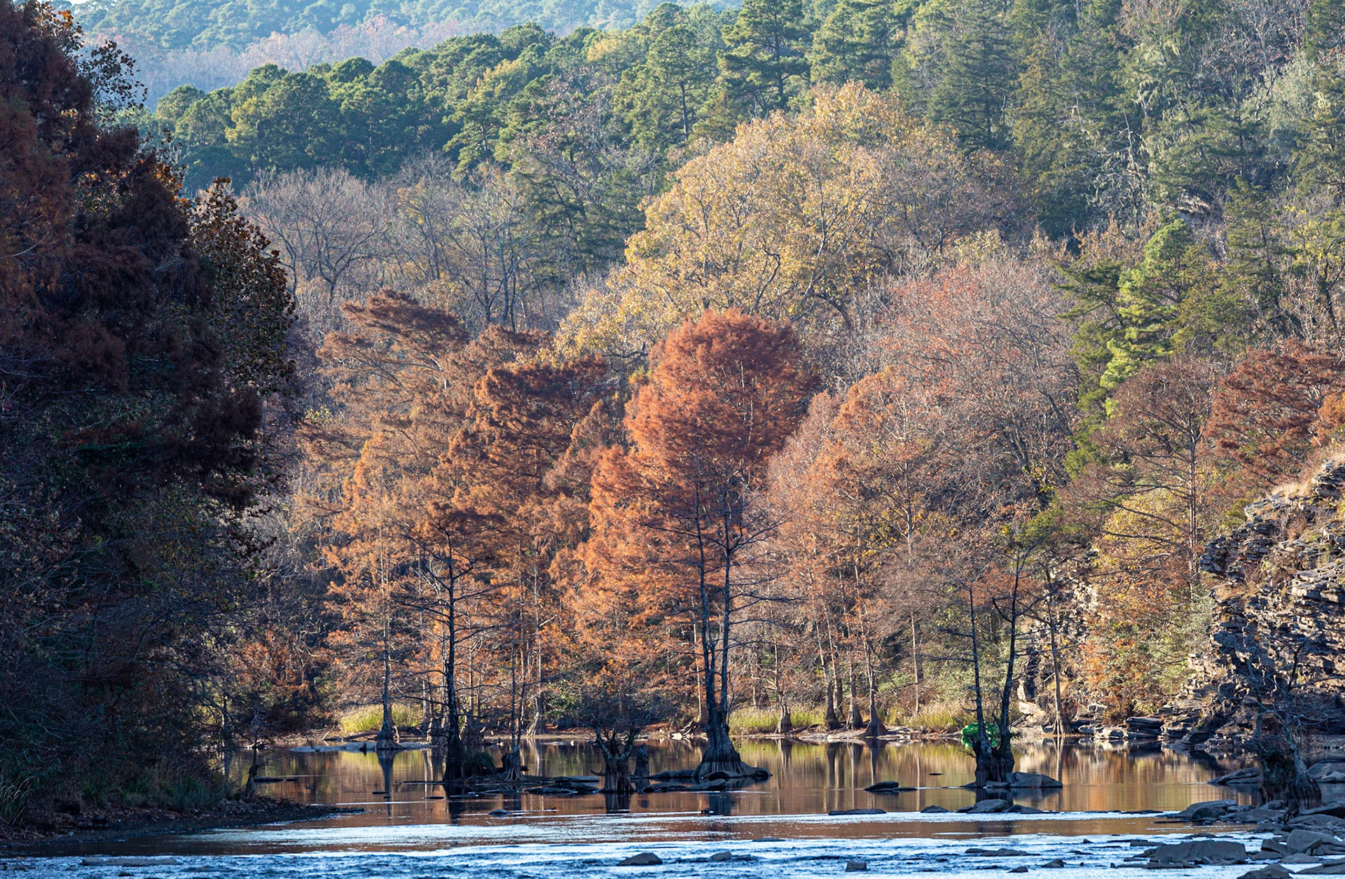 Beaver's Bend Foliage