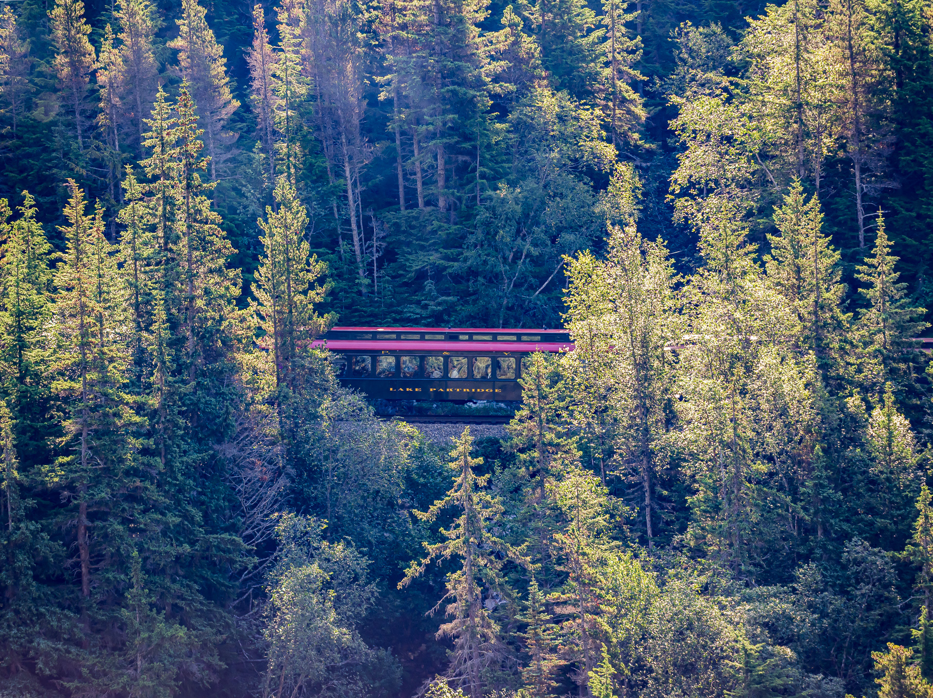 Alaskan Train