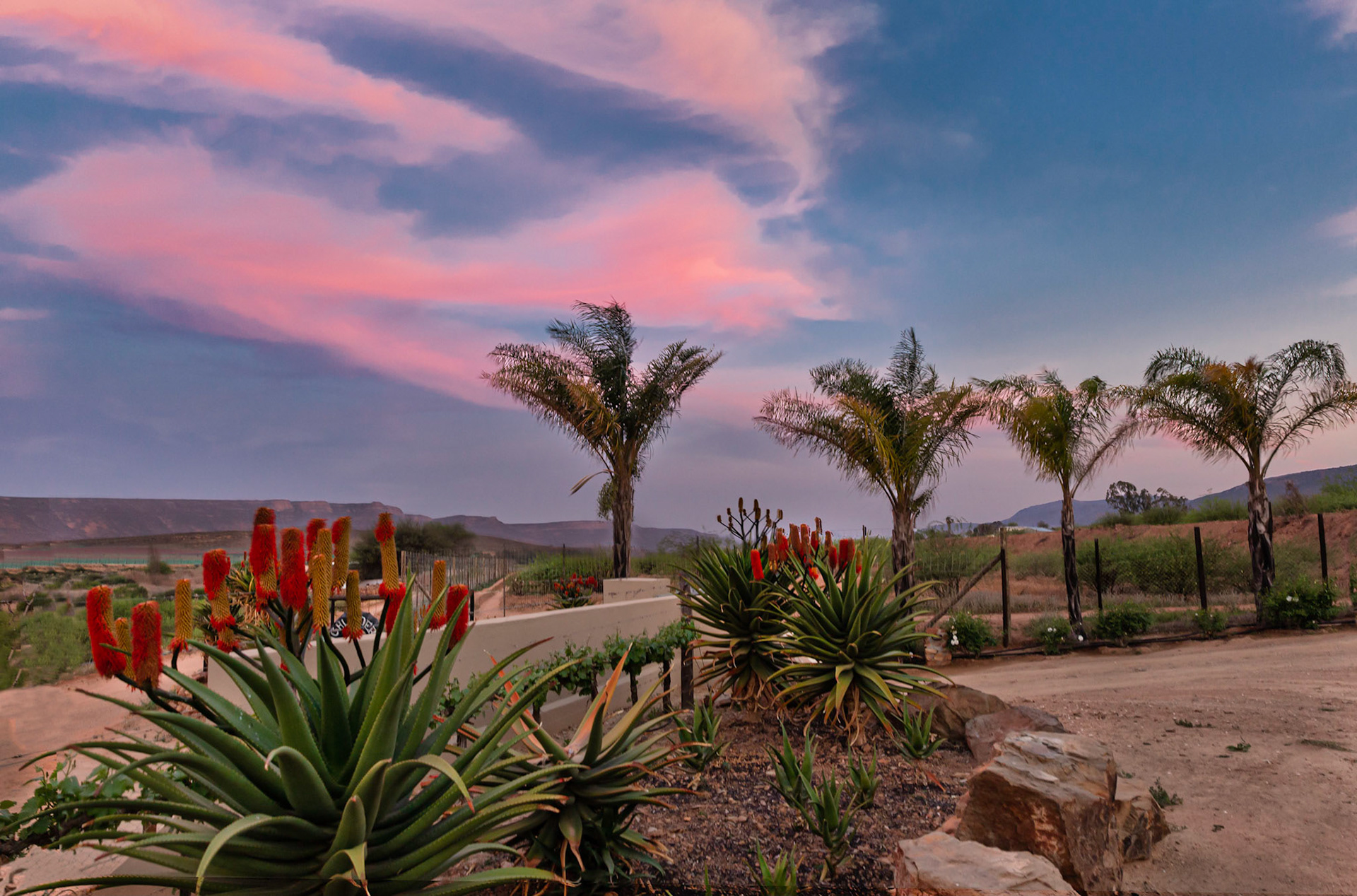 Sunset Clan William Campsite