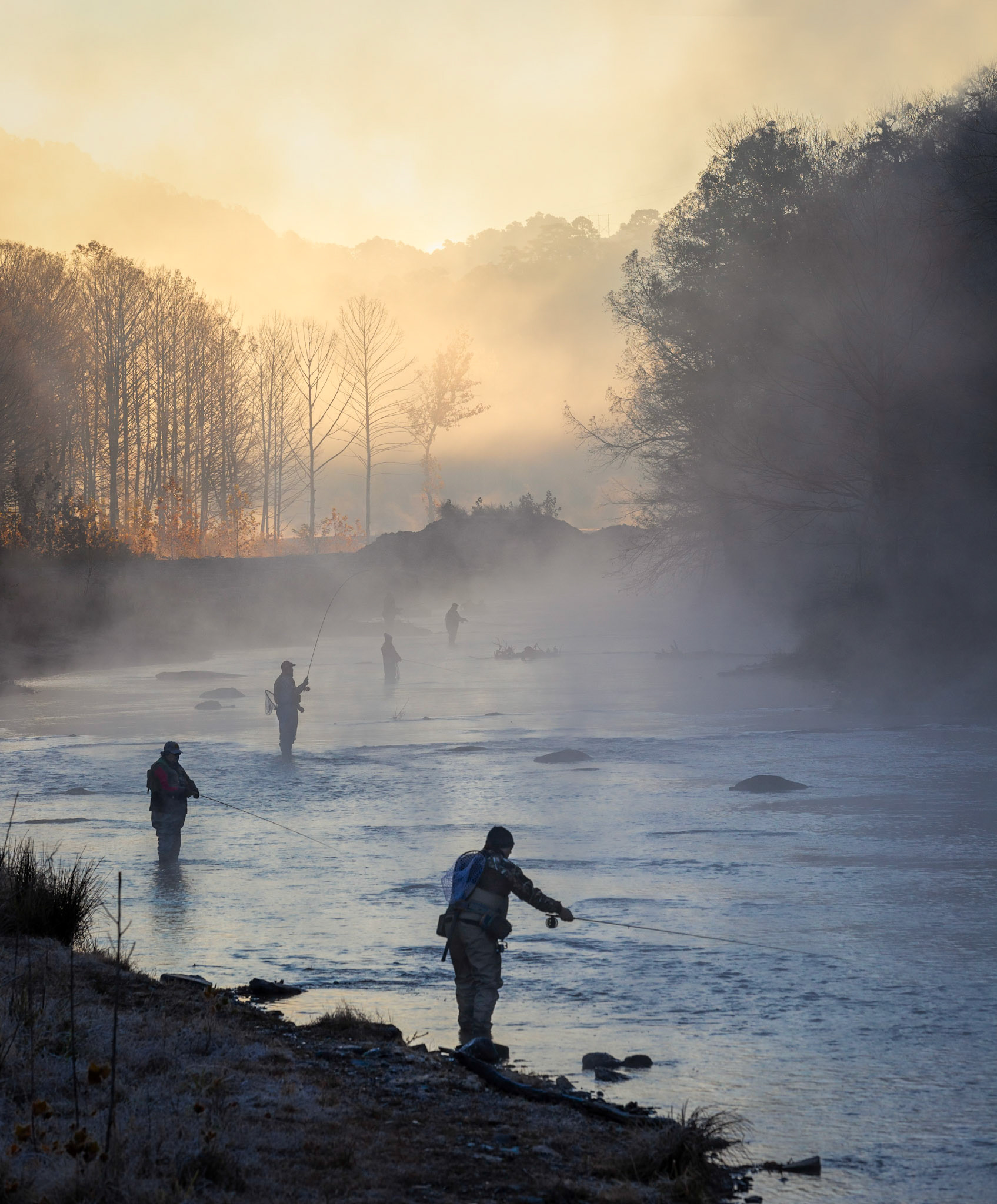 Fishing Line
