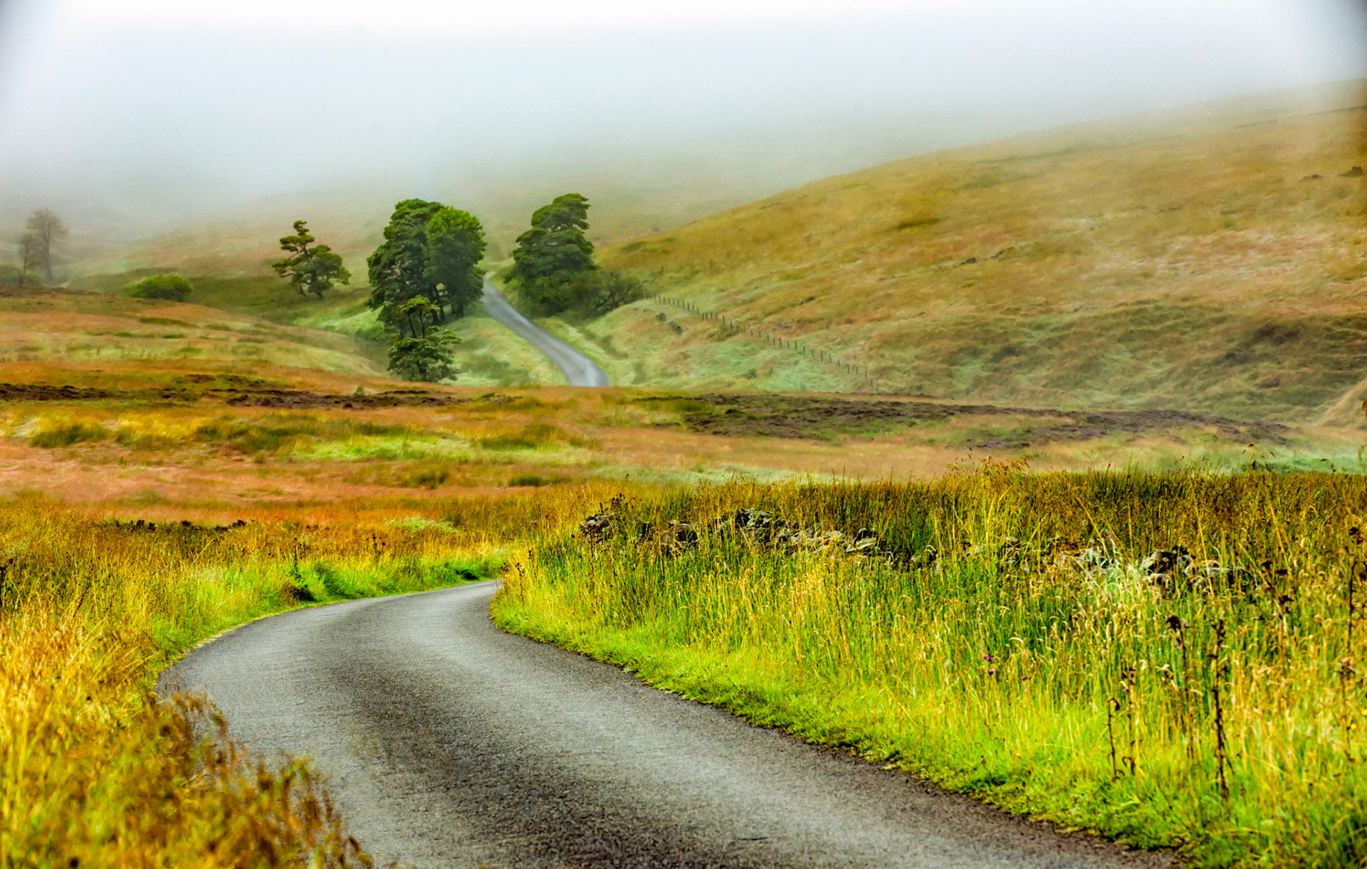 The Long anad Winding Road
