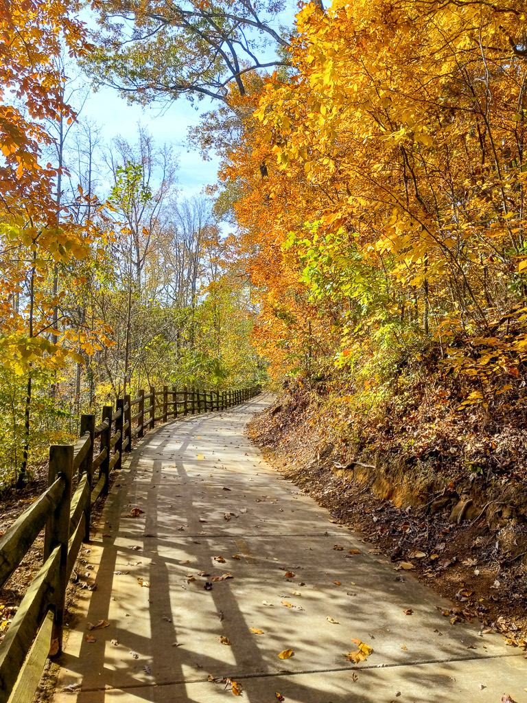 Rube's Creek Trail