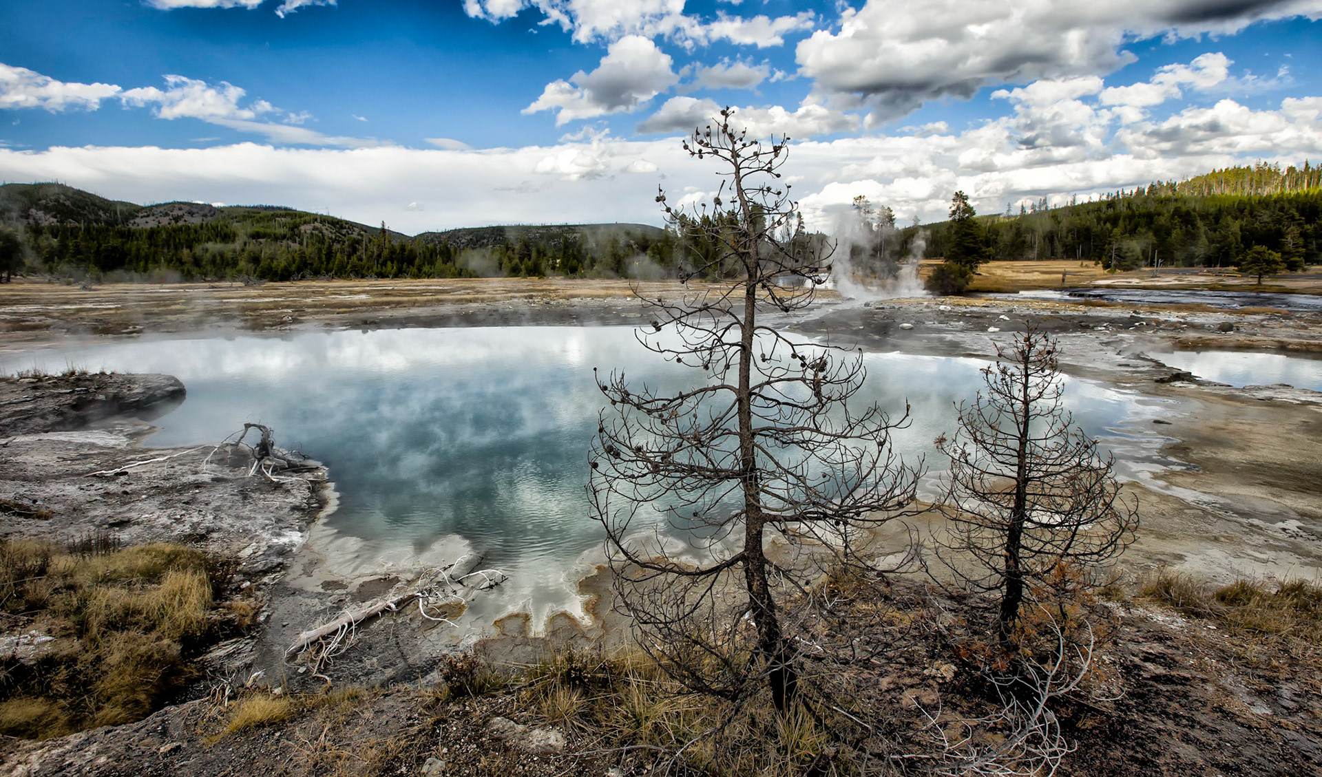 Yellowstone Duo