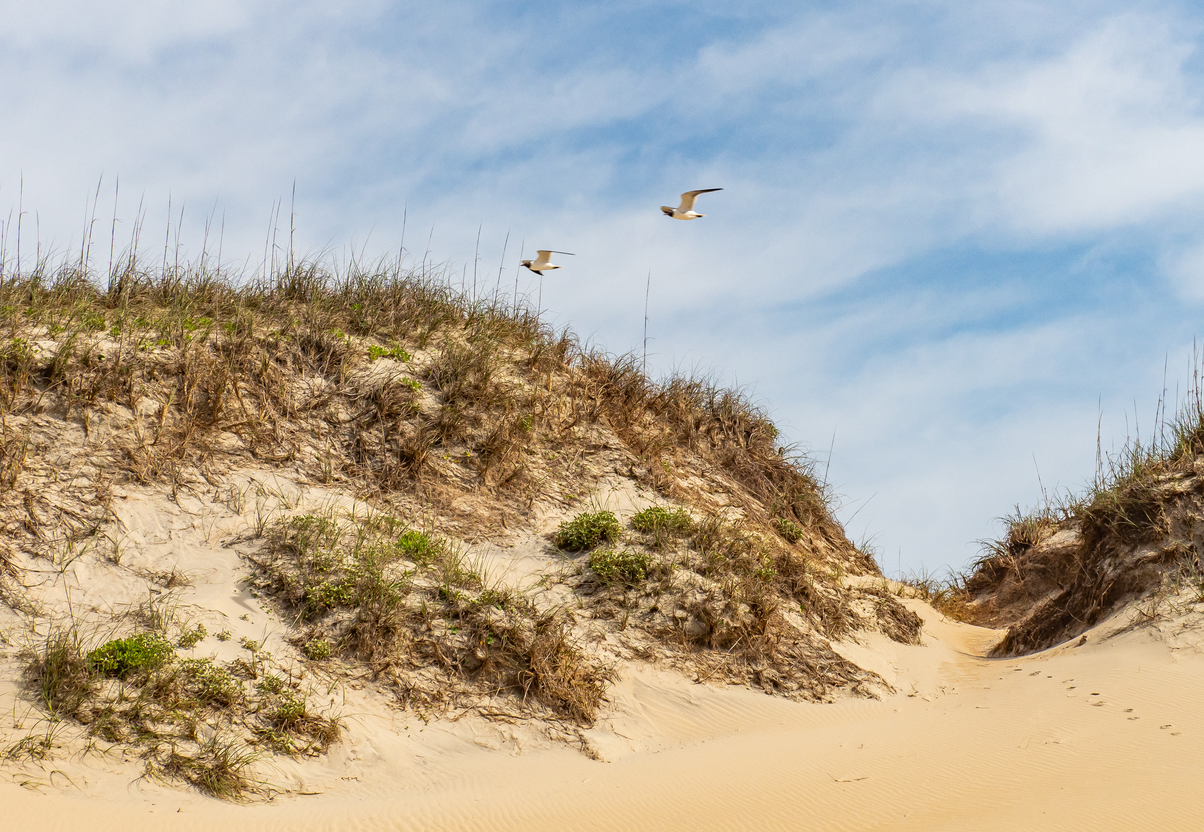 Quiet Afternoon at Hatteras