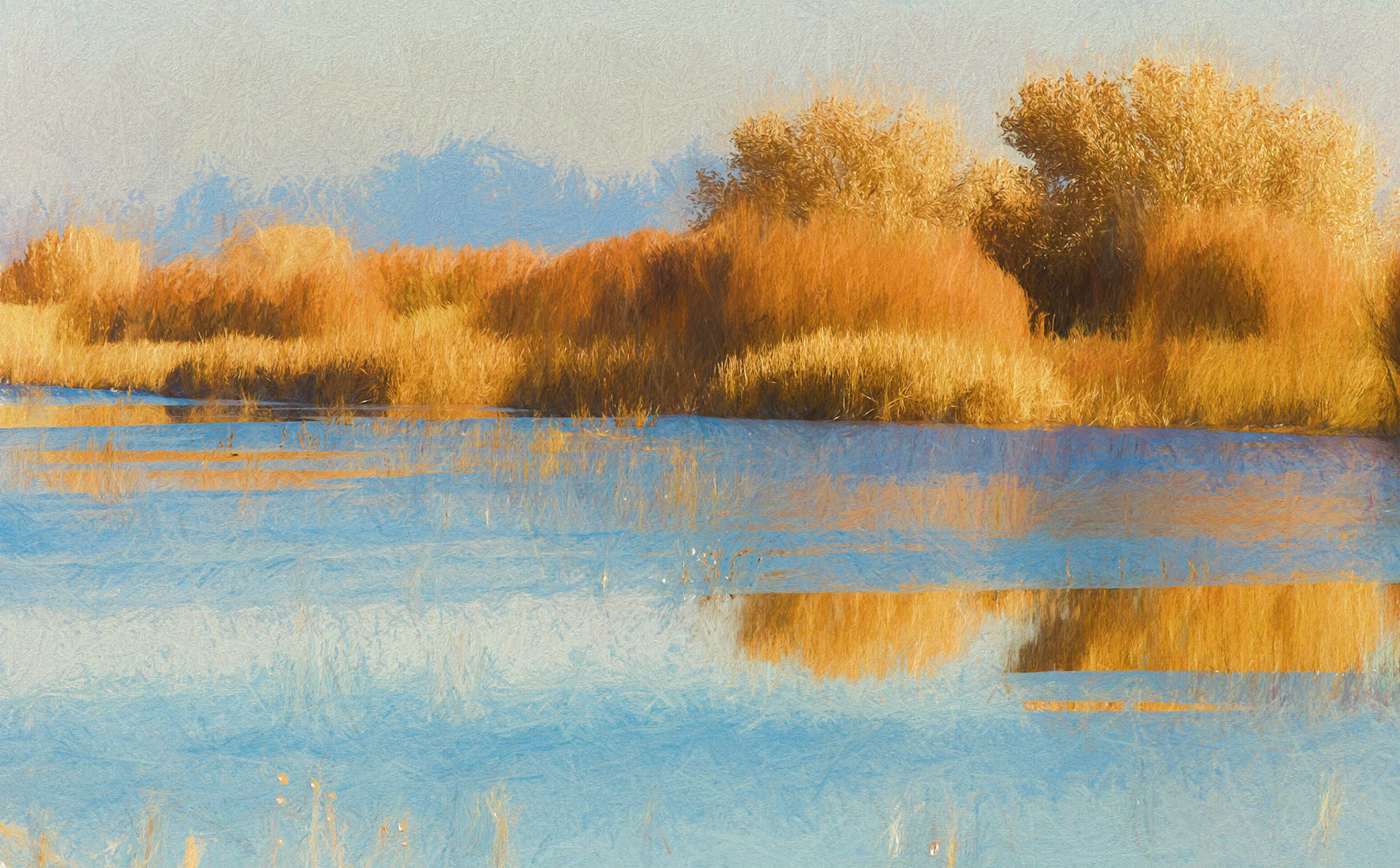 Bosque Bushes
